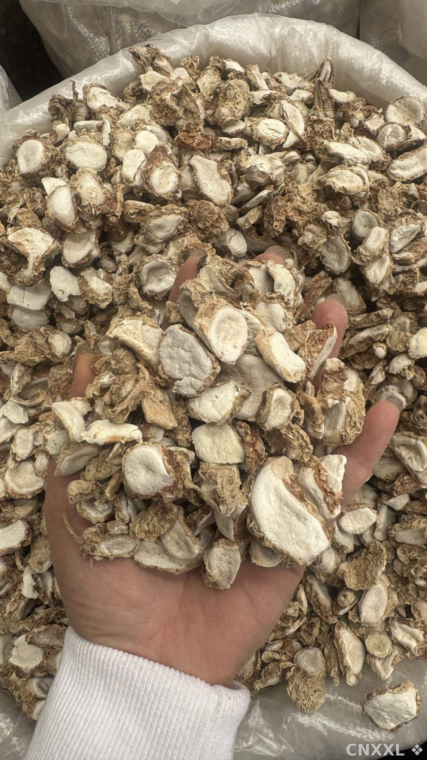 spice_26138_bc7e4a86_2.jpg