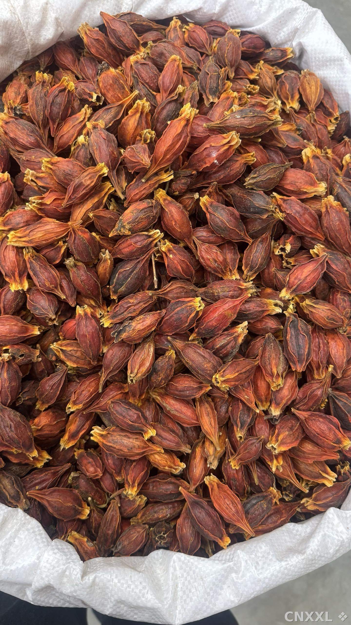 spice_26140_62ceb88b_3.jpg