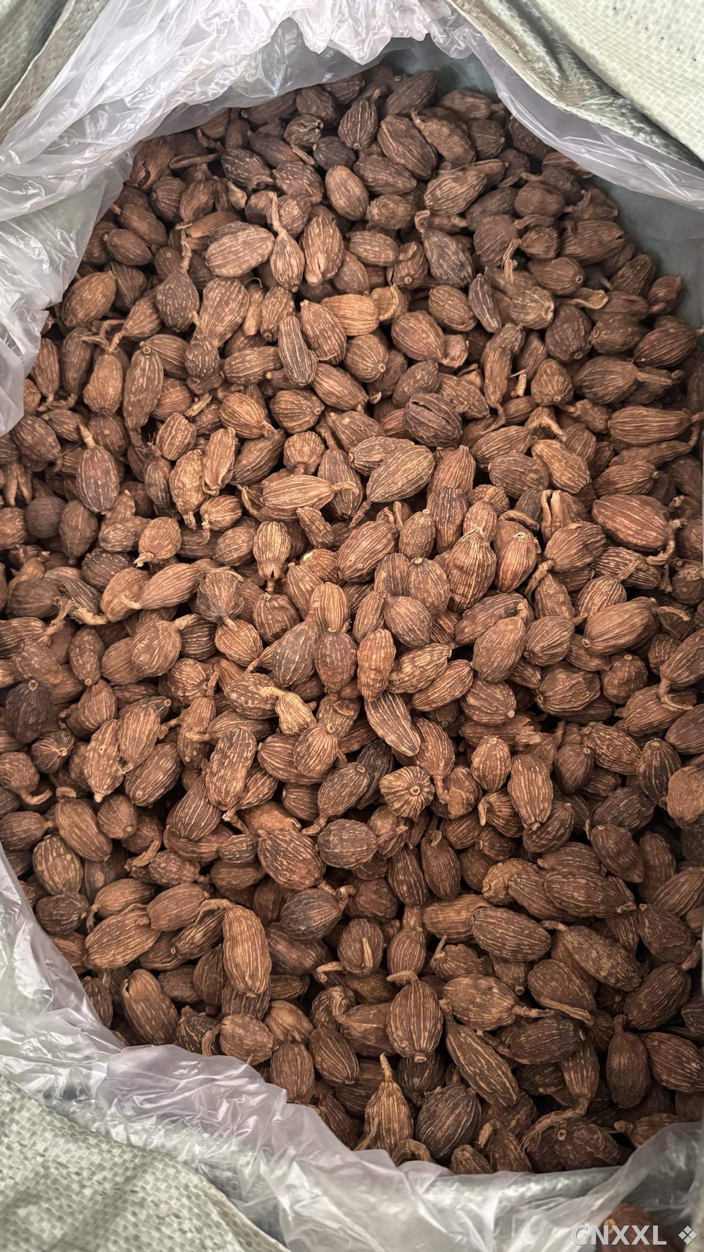 spice_26150_fca7e263_3.jpg