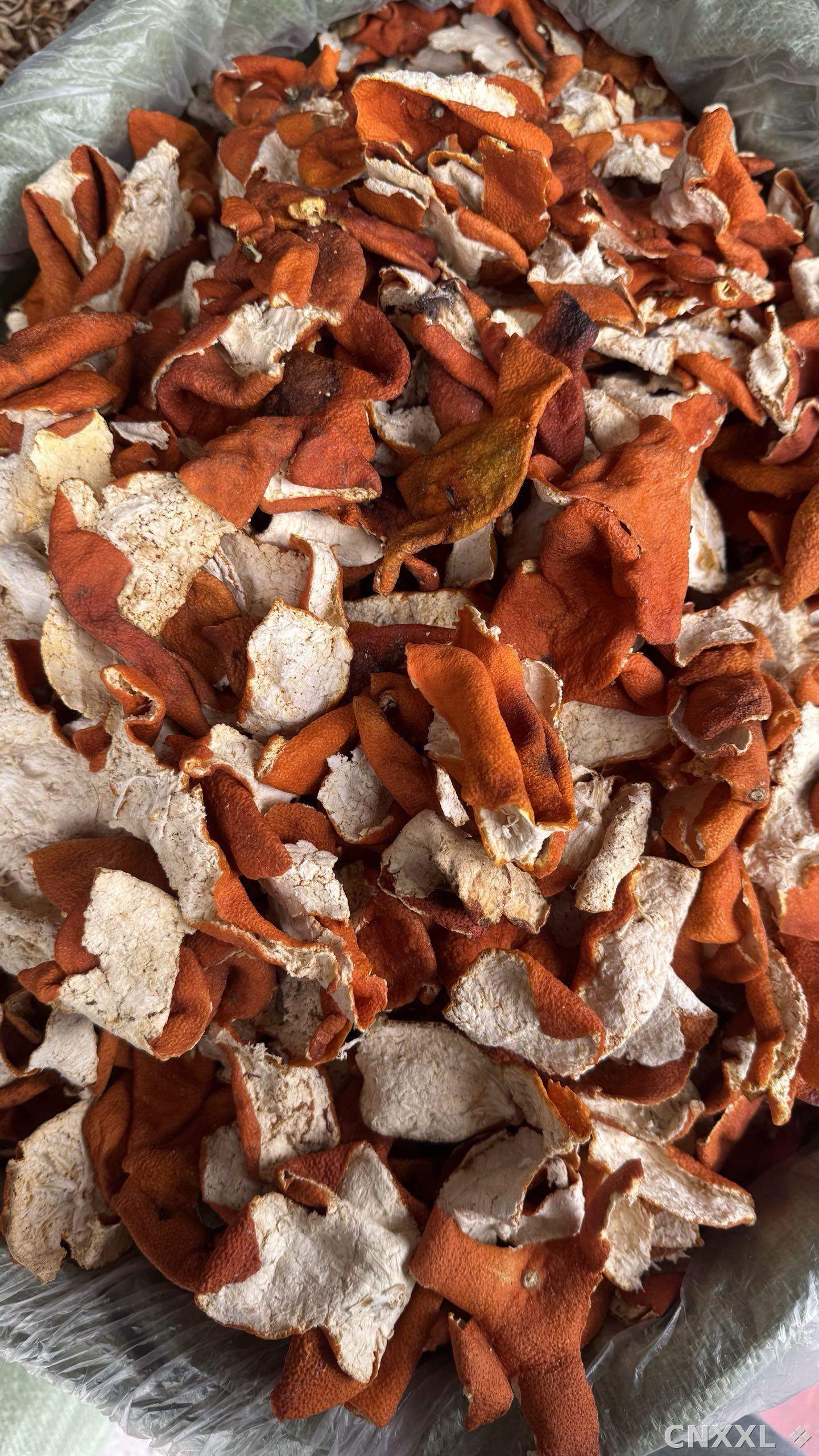 spice_26170_55d7c565_3.jpg