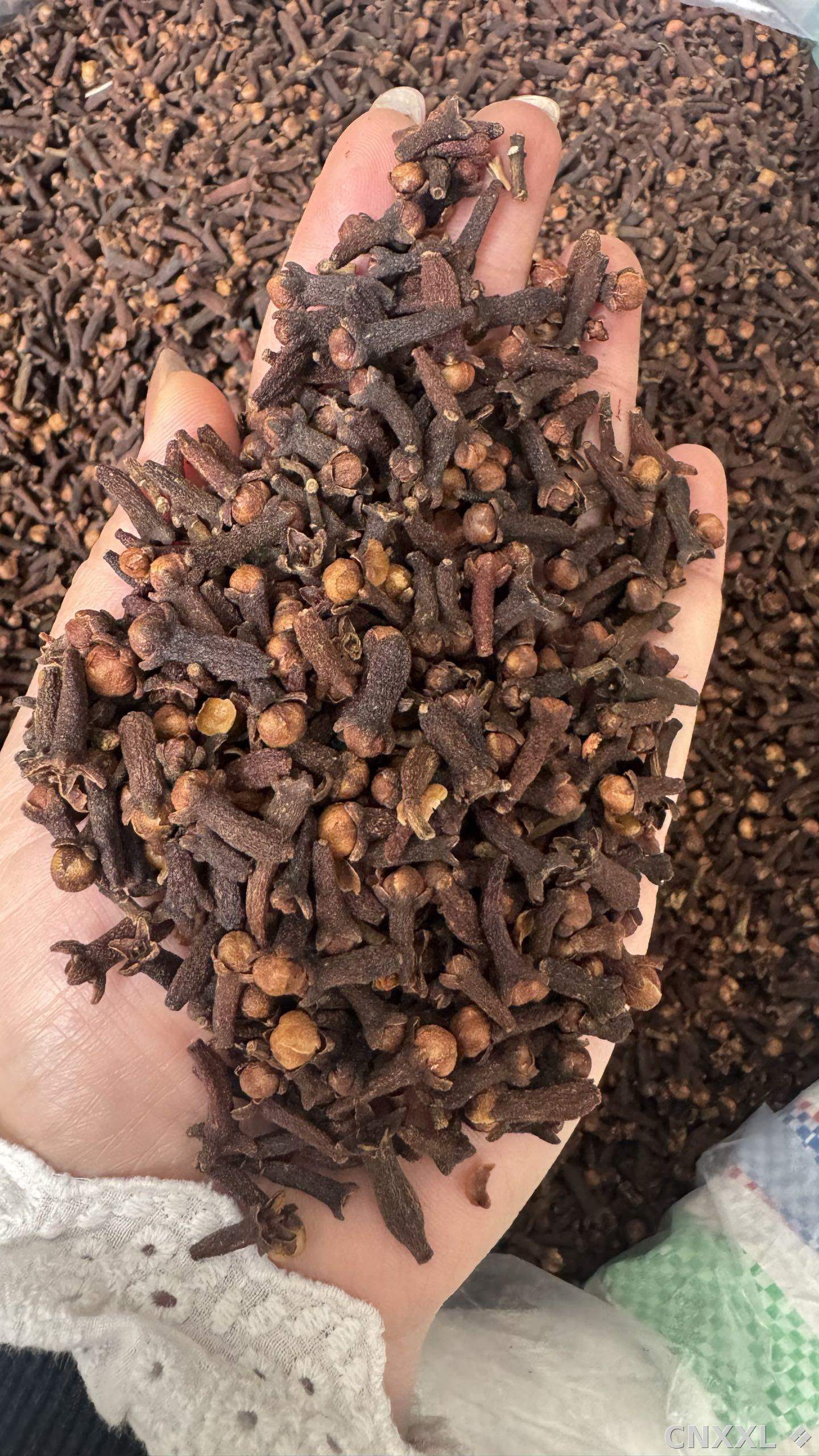 spice_26178_c171d0cd_1.jpg