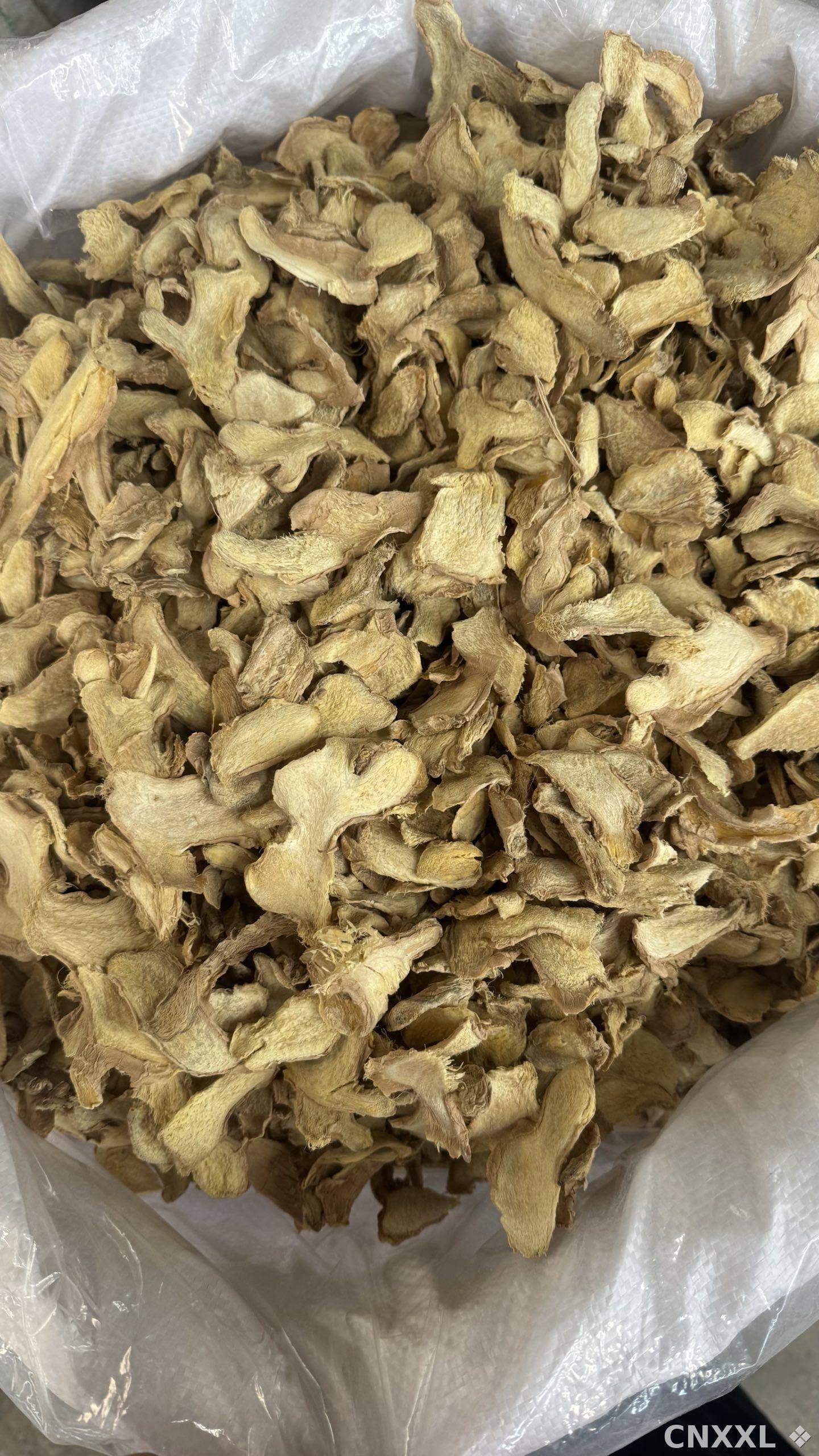 spice_26190_1c017c37_3.jpg