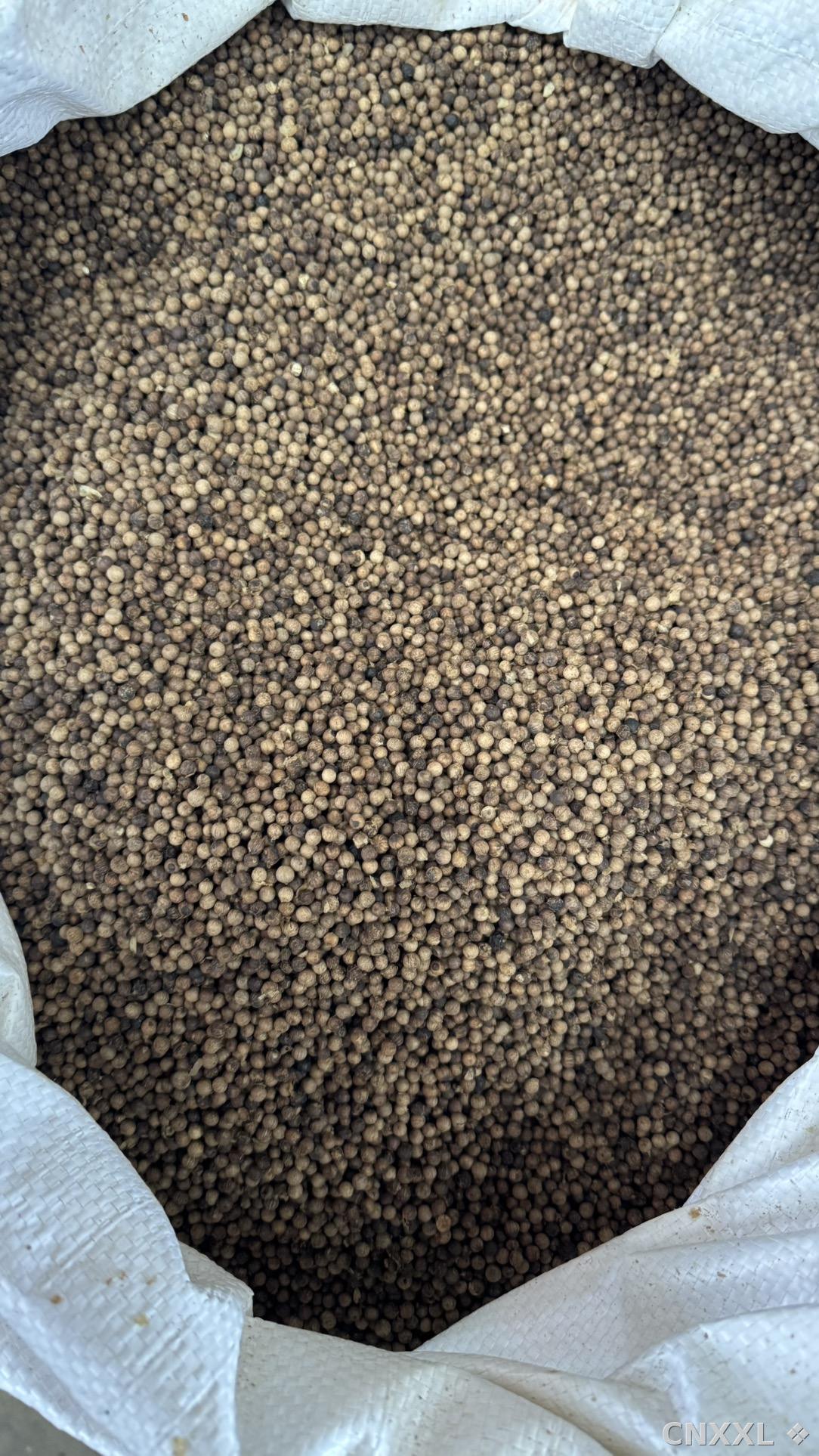 spice_26191_e4c874d2_3.jpg