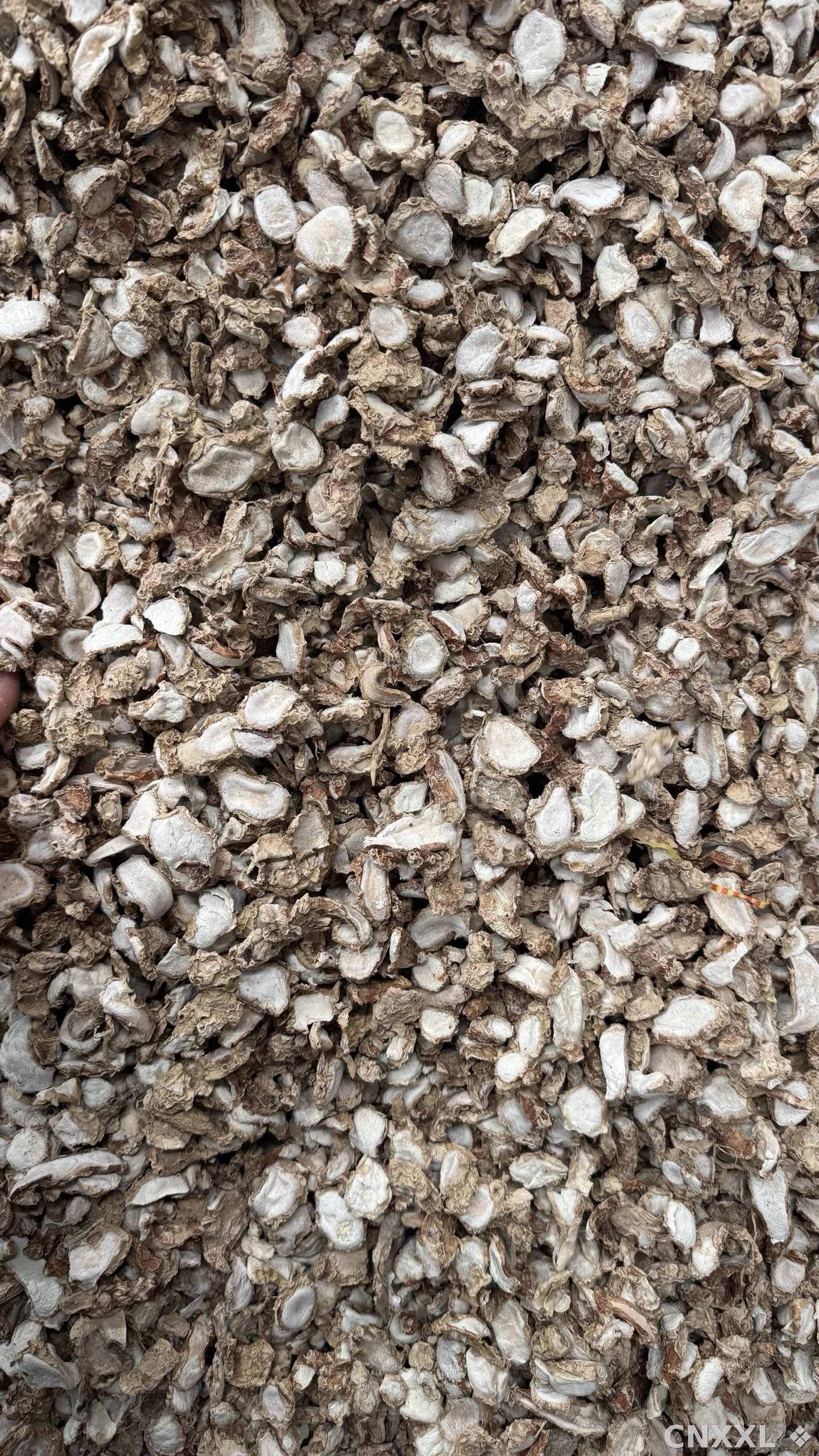 spice_26194_dacebda2_2.jpg
