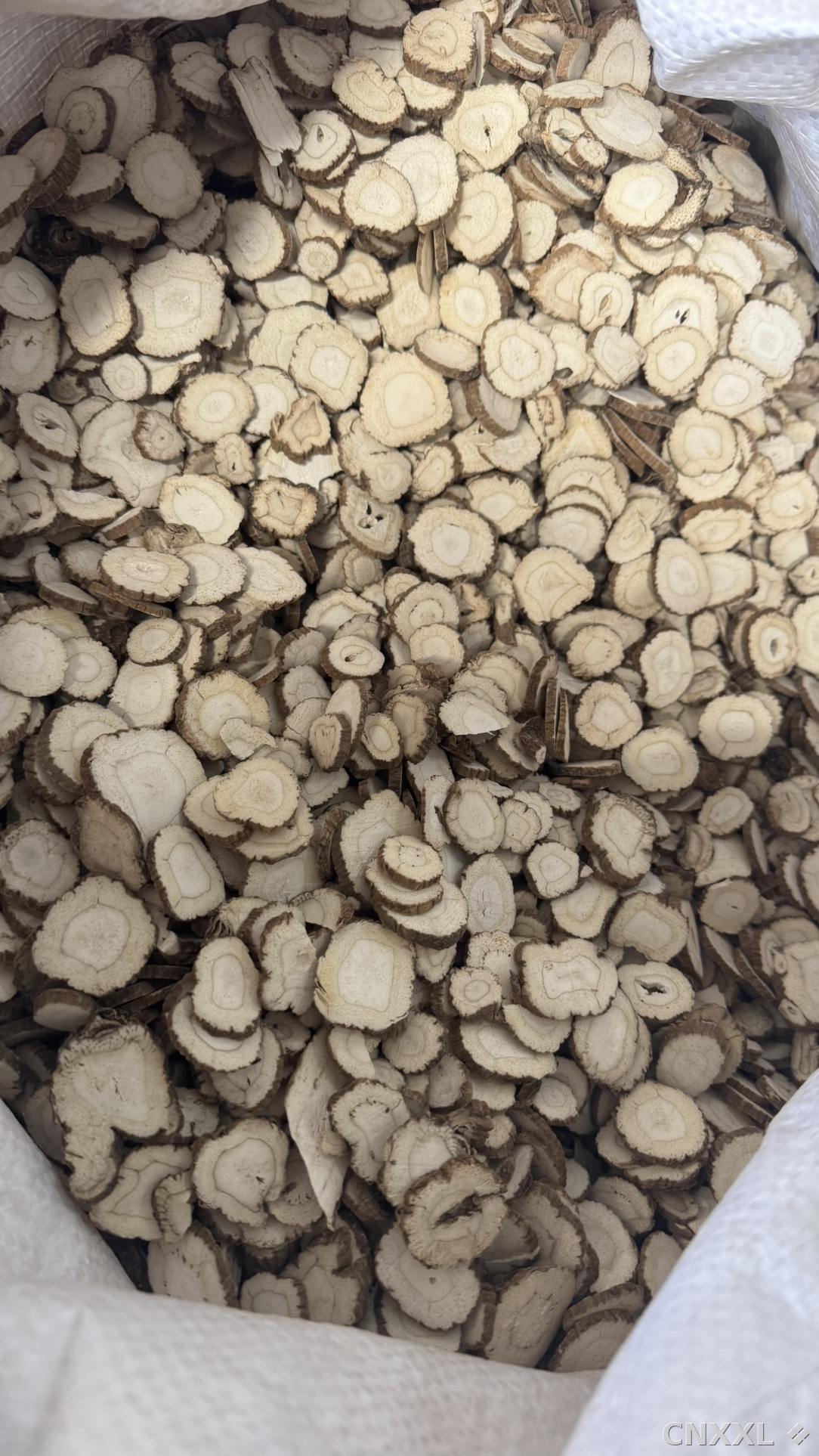spice_26196_12ce0c94_3.jpg