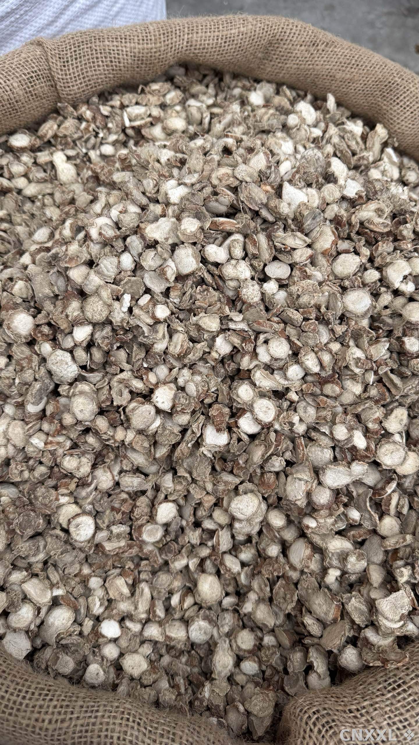 spice_26197_8ea1cdf5_2.jpg