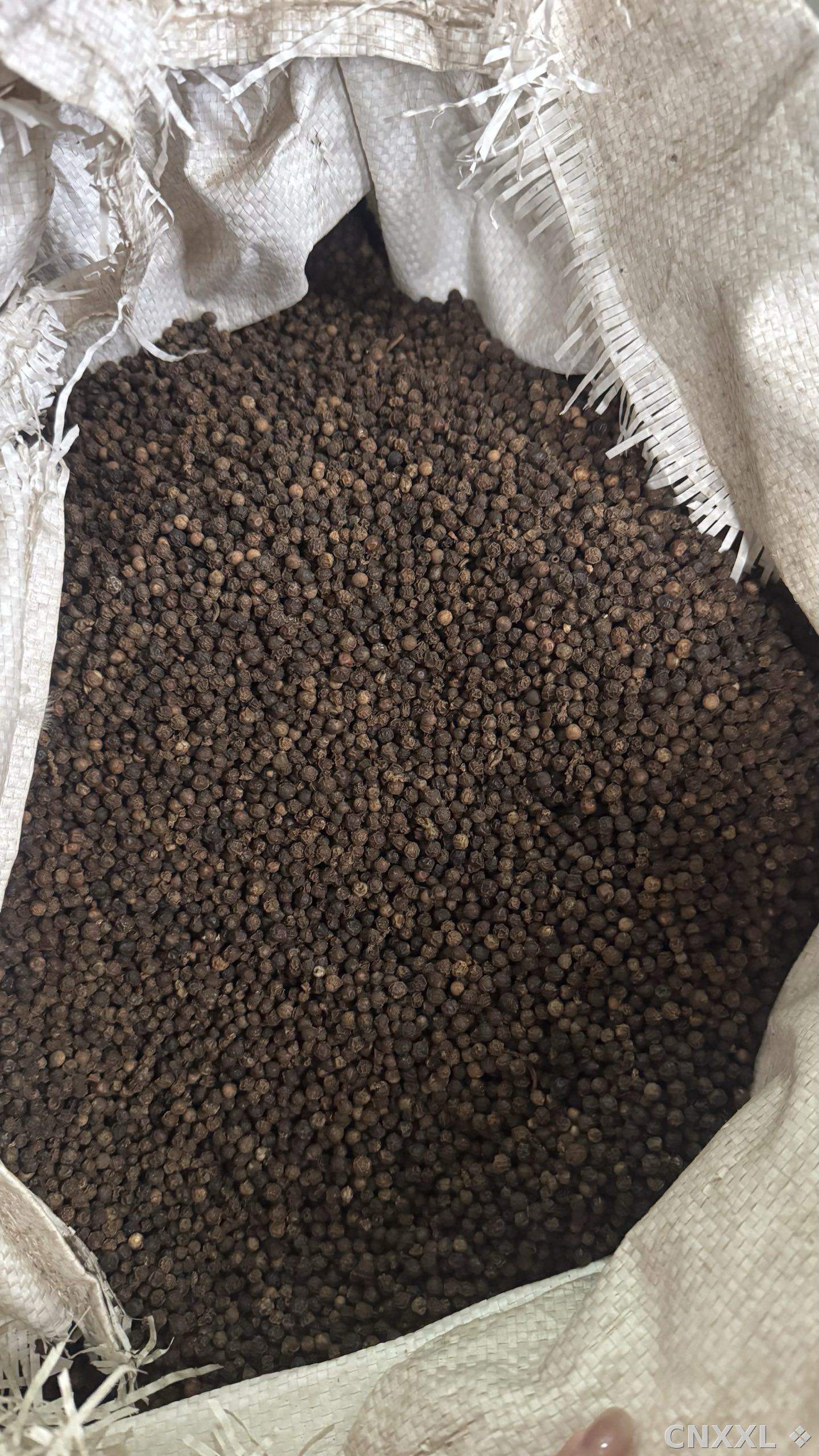 spice_26202_cbf88cc8_3.jpg