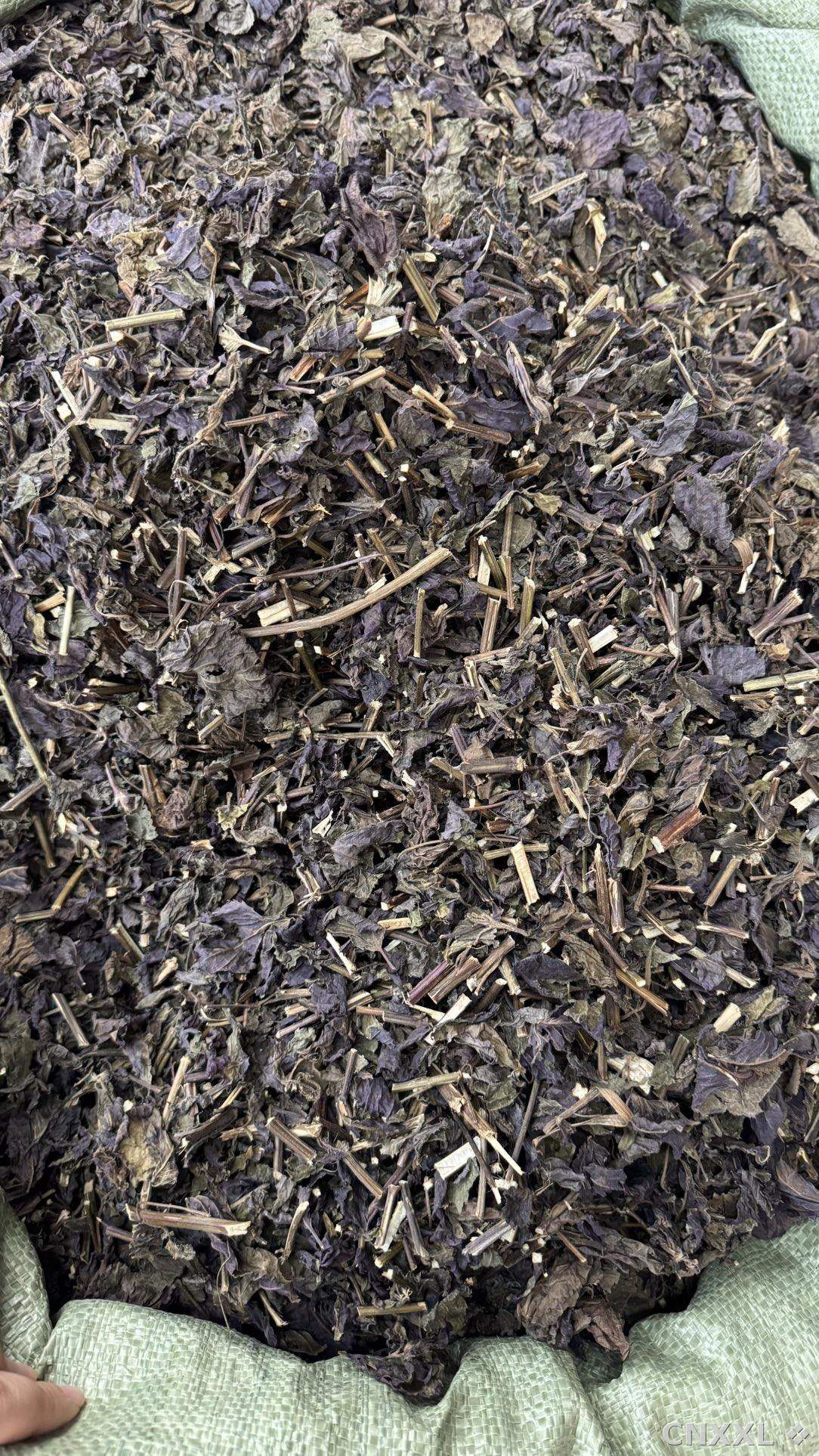 spice_26204_02909900_3.jpg