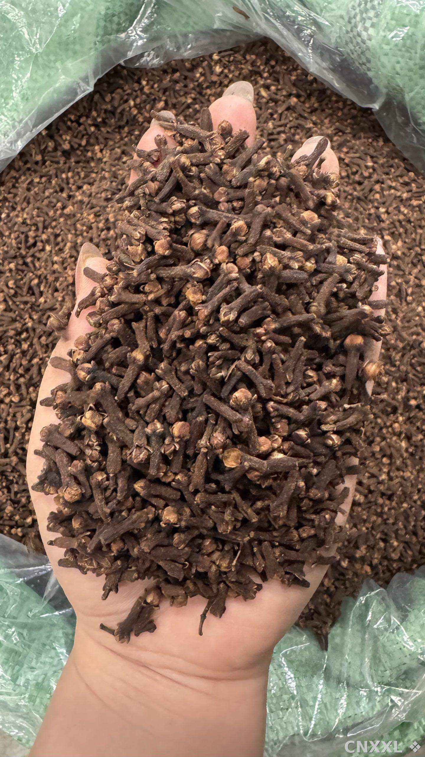 spice_26206_9cb39d05_2.jpg