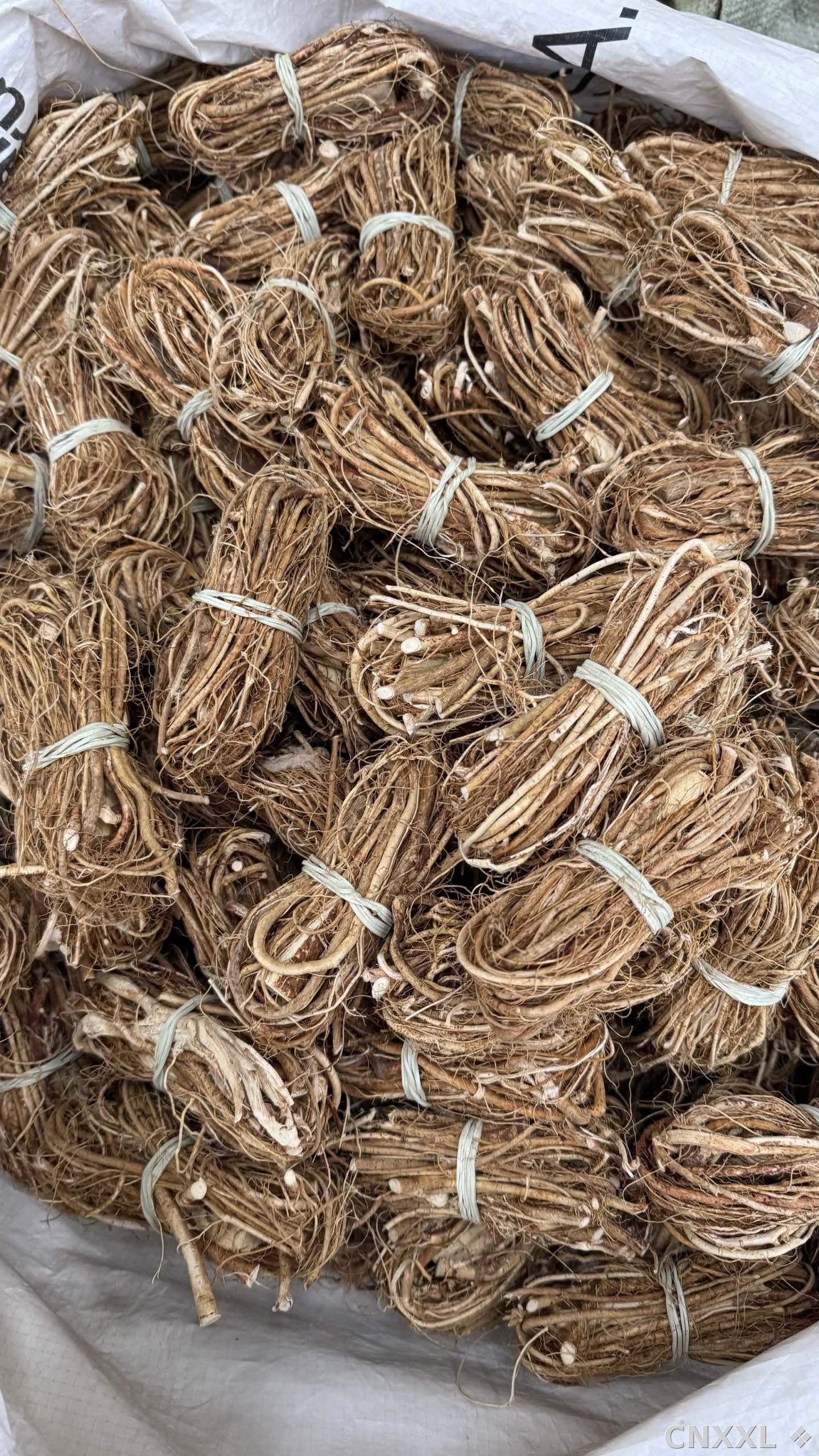 spice_26209_03b06a56_3.jpg