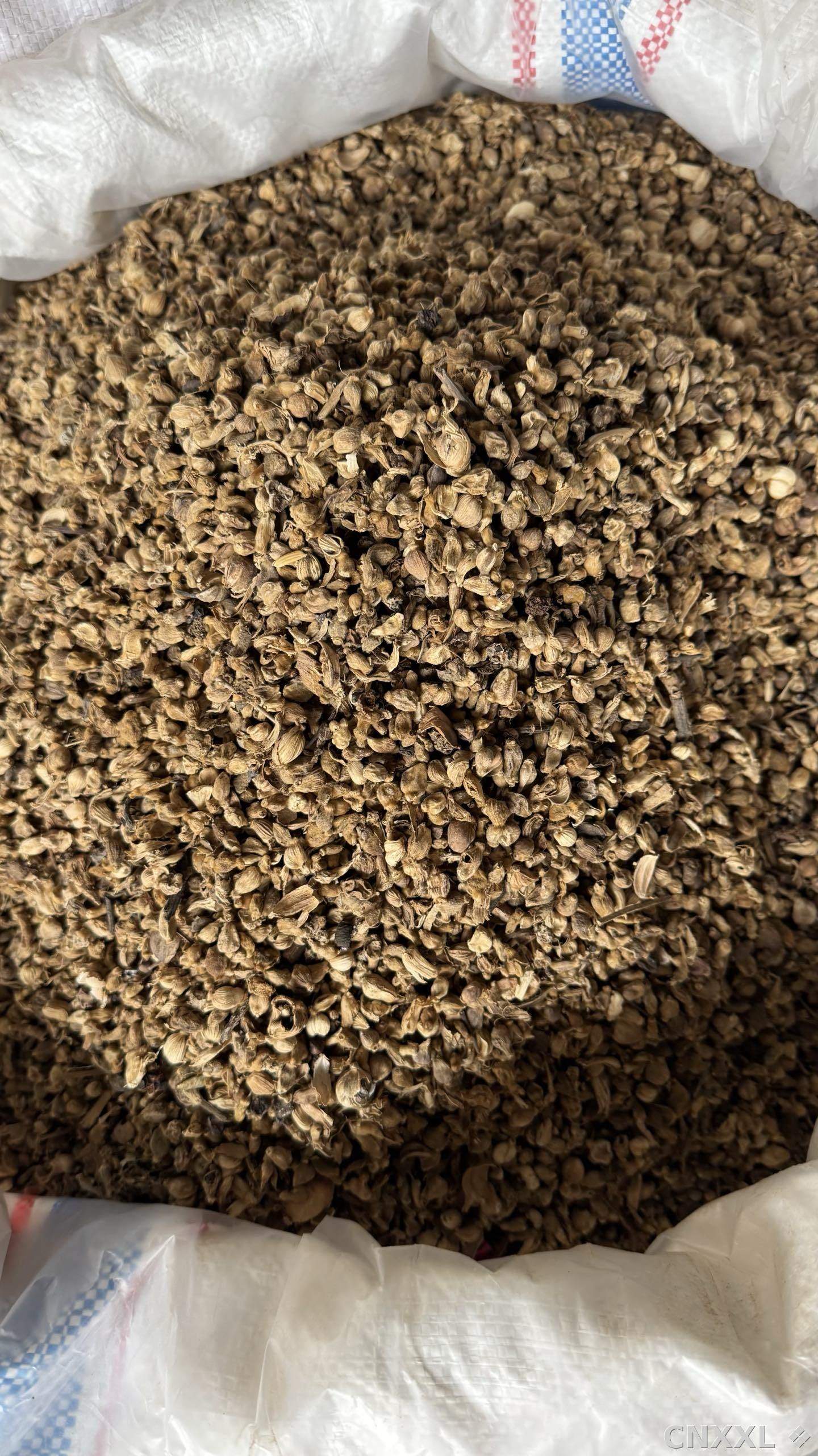 spice_26219_8117915e_3.jpg