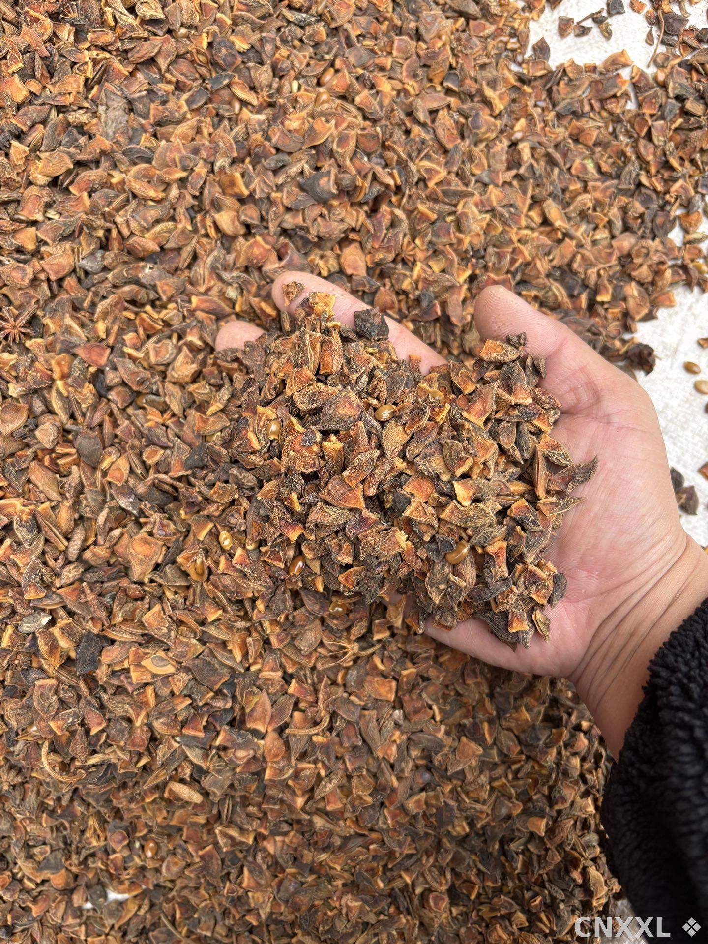 spice_26225_88cc30ac_2.jpg