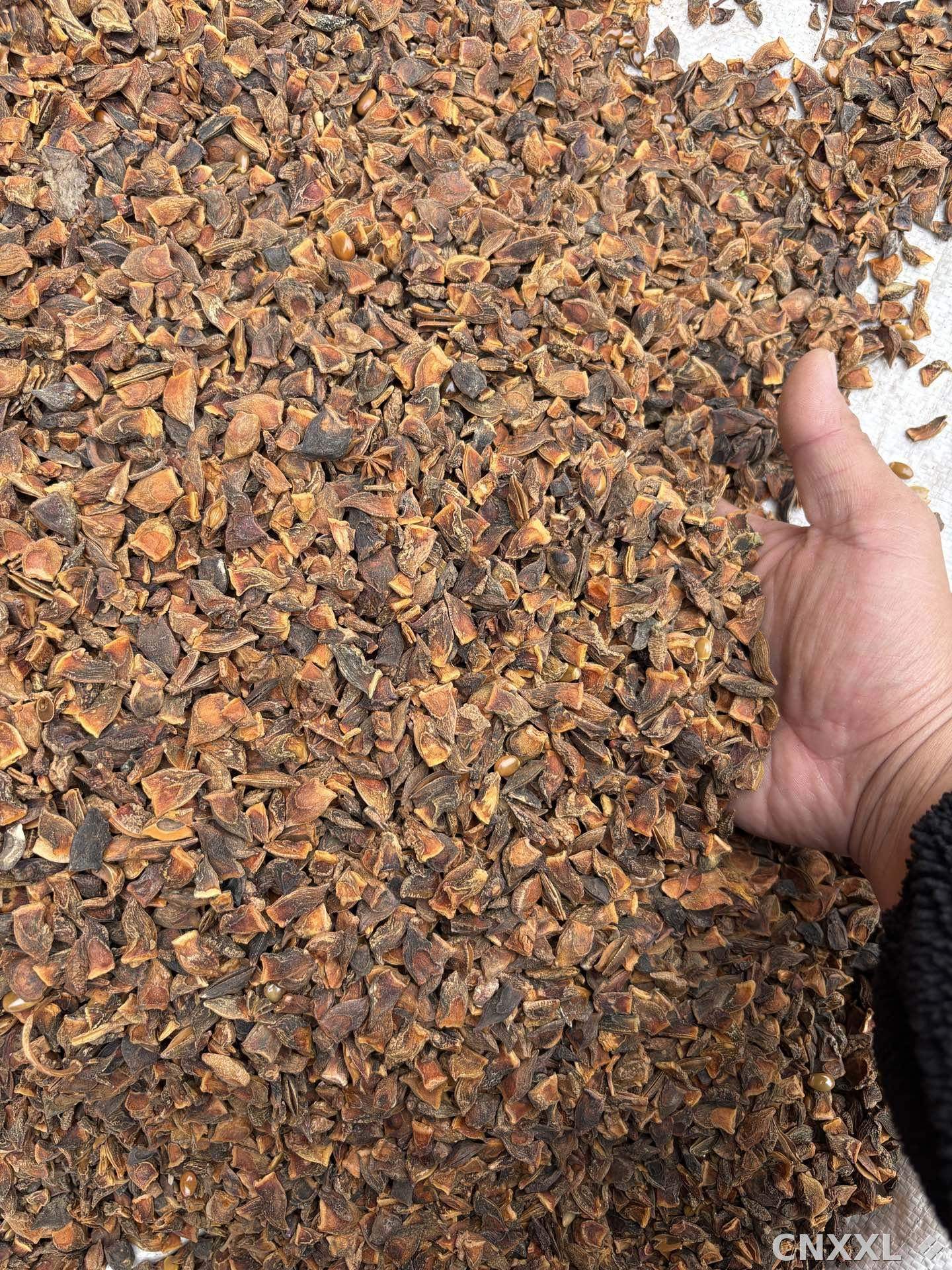 spice_26225_f88c8b26_3.jpg