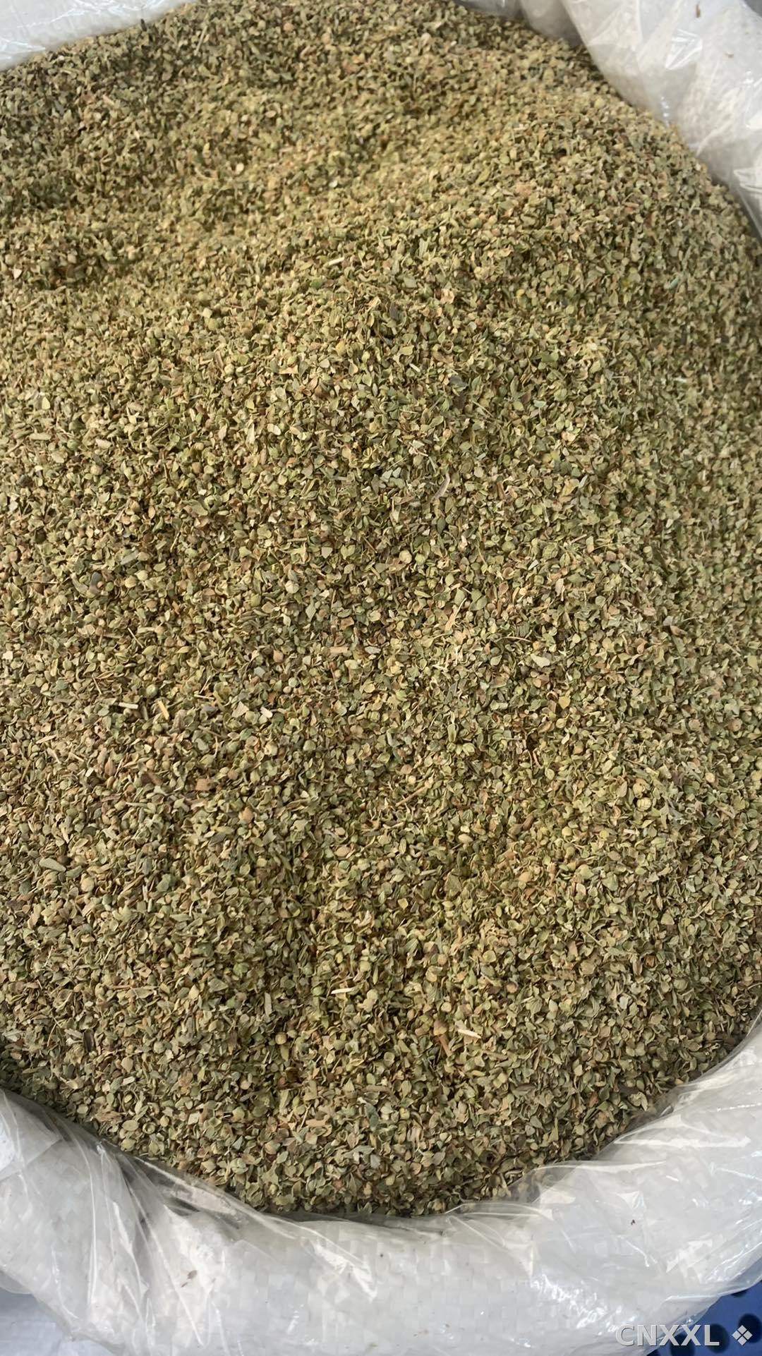 spice_26228_0d16296a_3.jpg