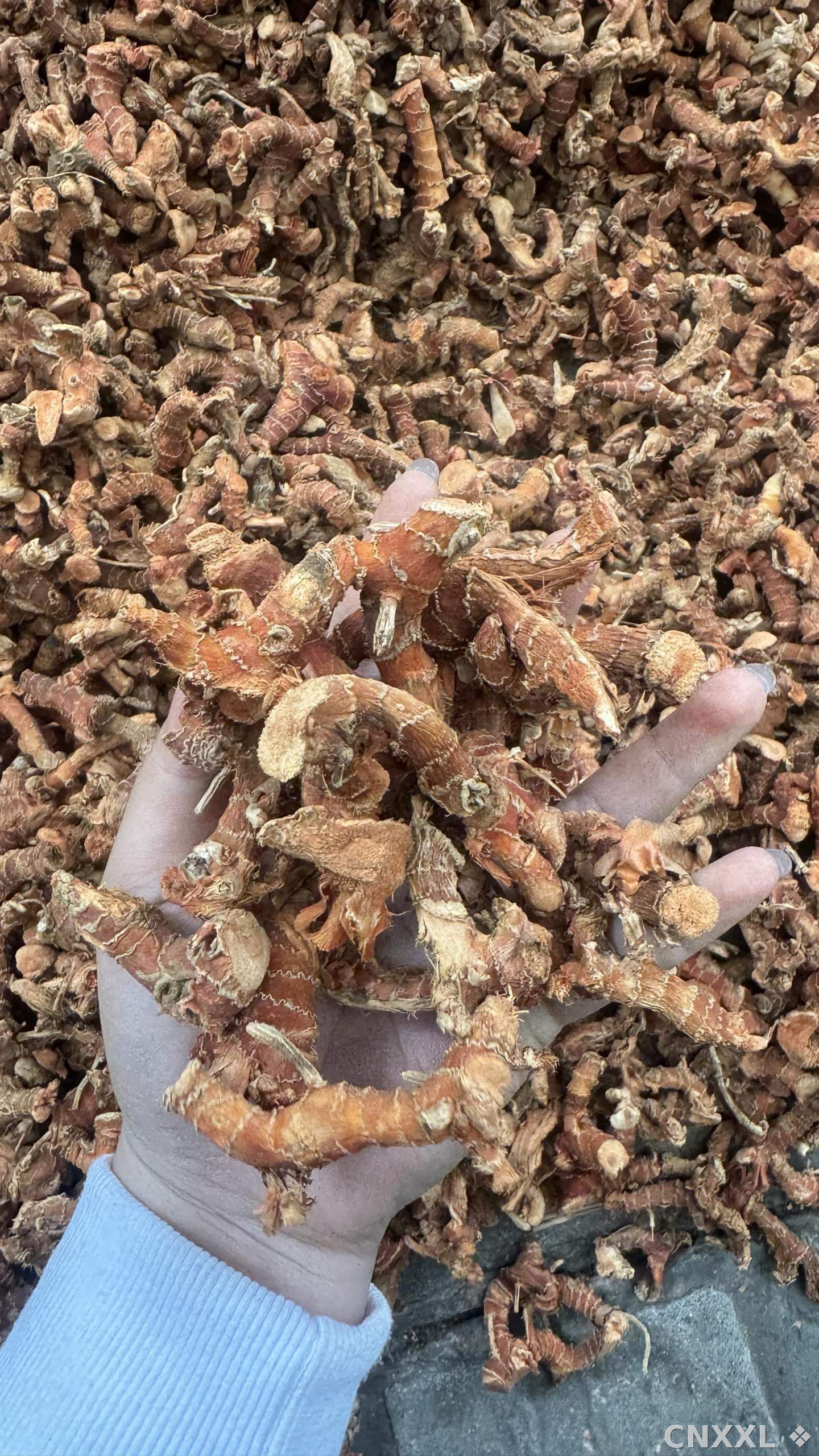 spice_26230_ba3aa6ca_2.jpg