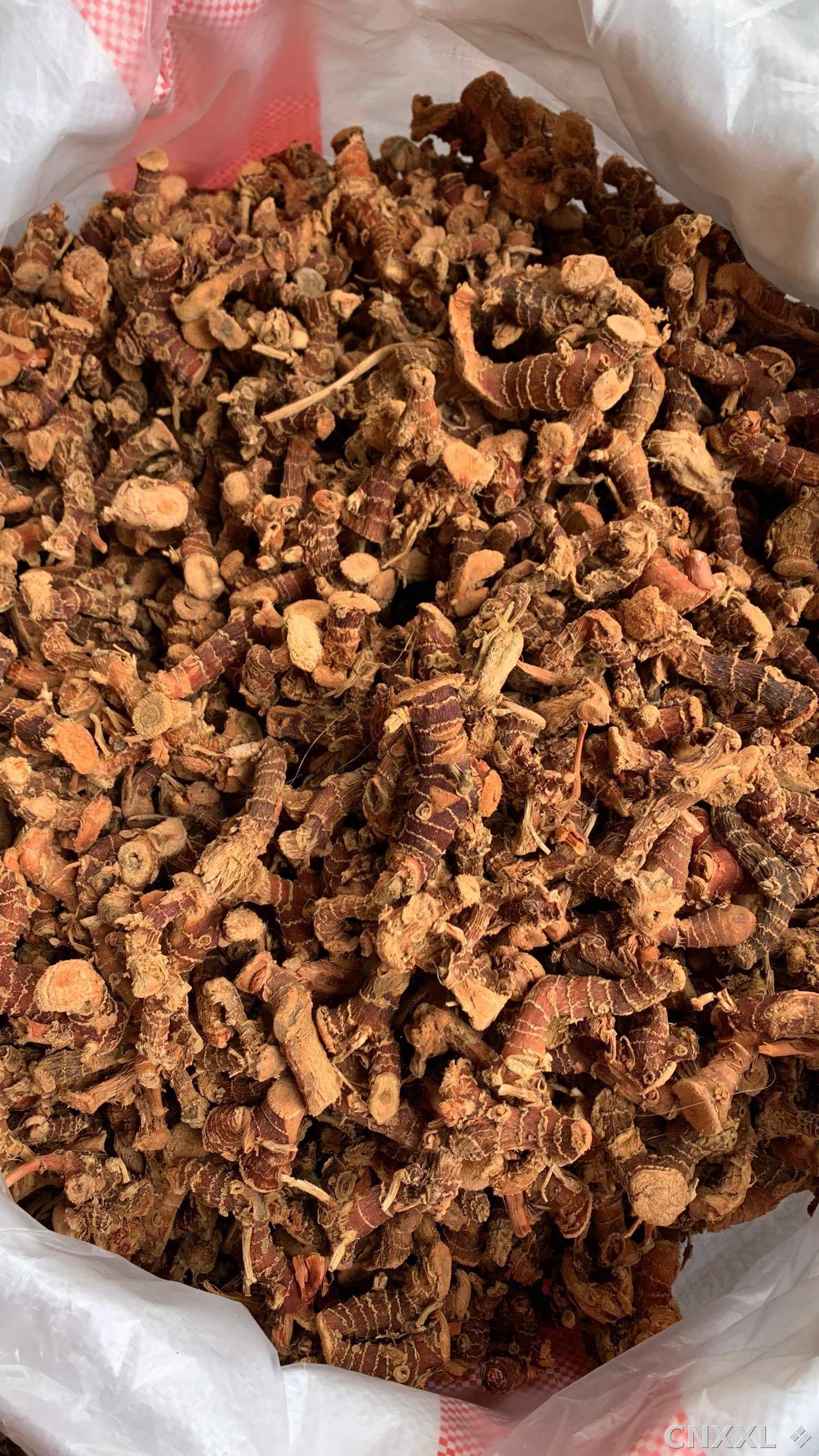 spice_26237_1bdee902_3.jpg