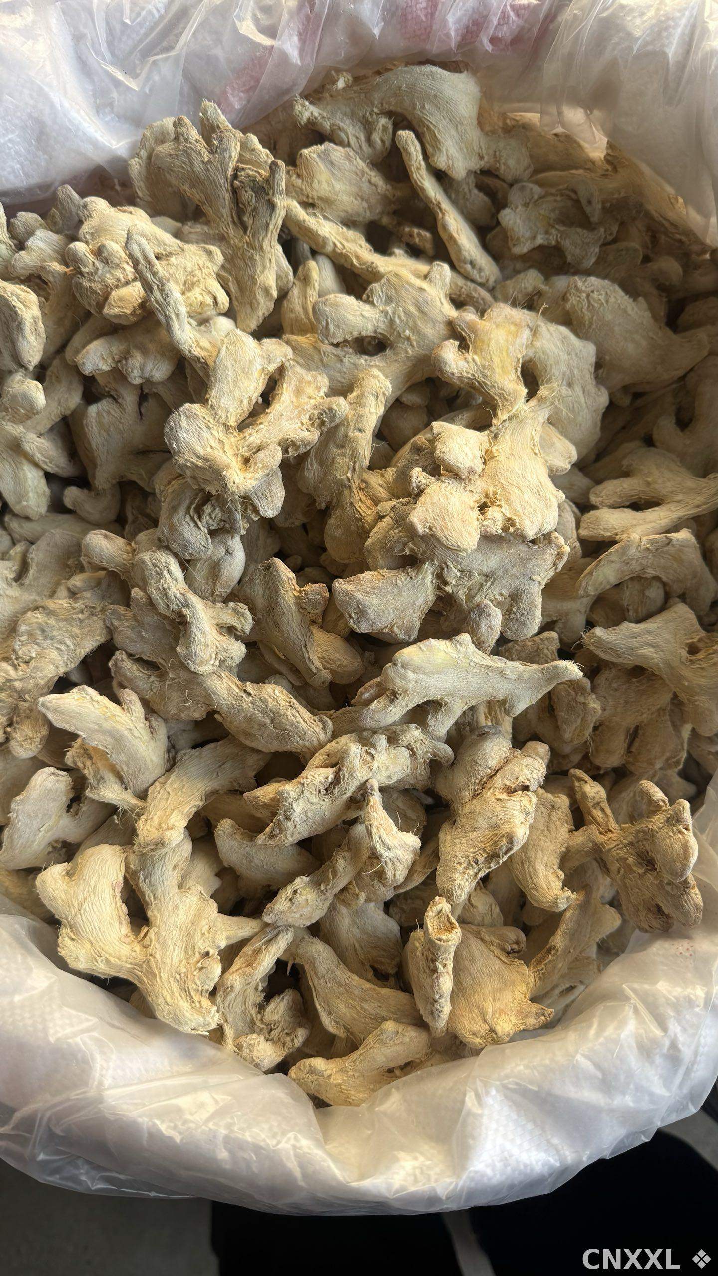 spice_26238_263f53e7_3.jpg
