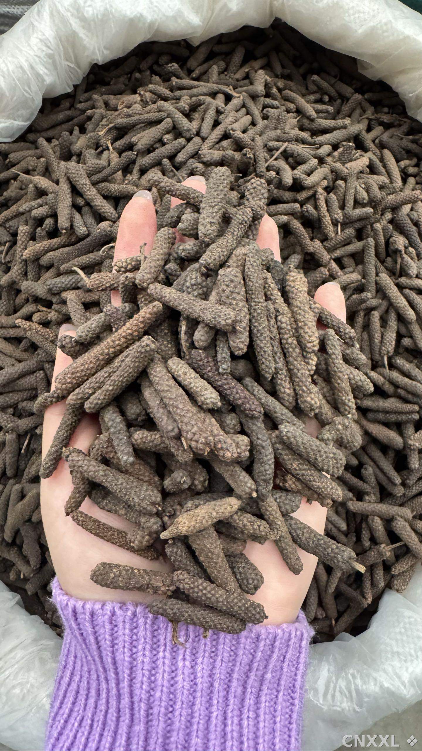 spice_26243_5b6c04c4_1.jpg