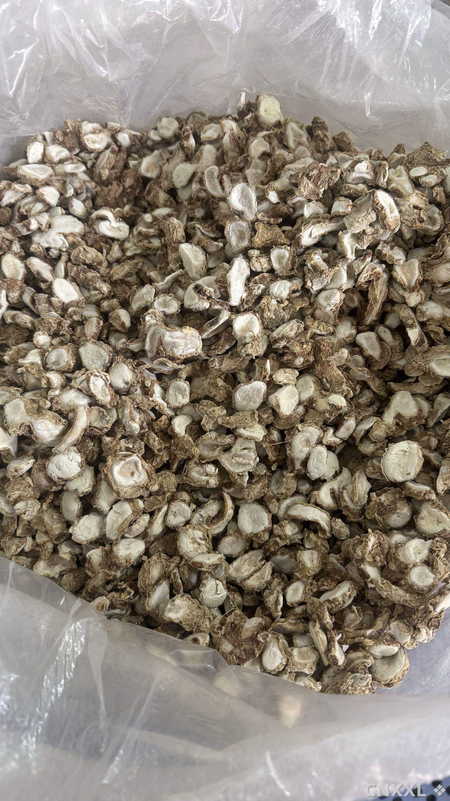 spice_26248_50944651_3.jpg