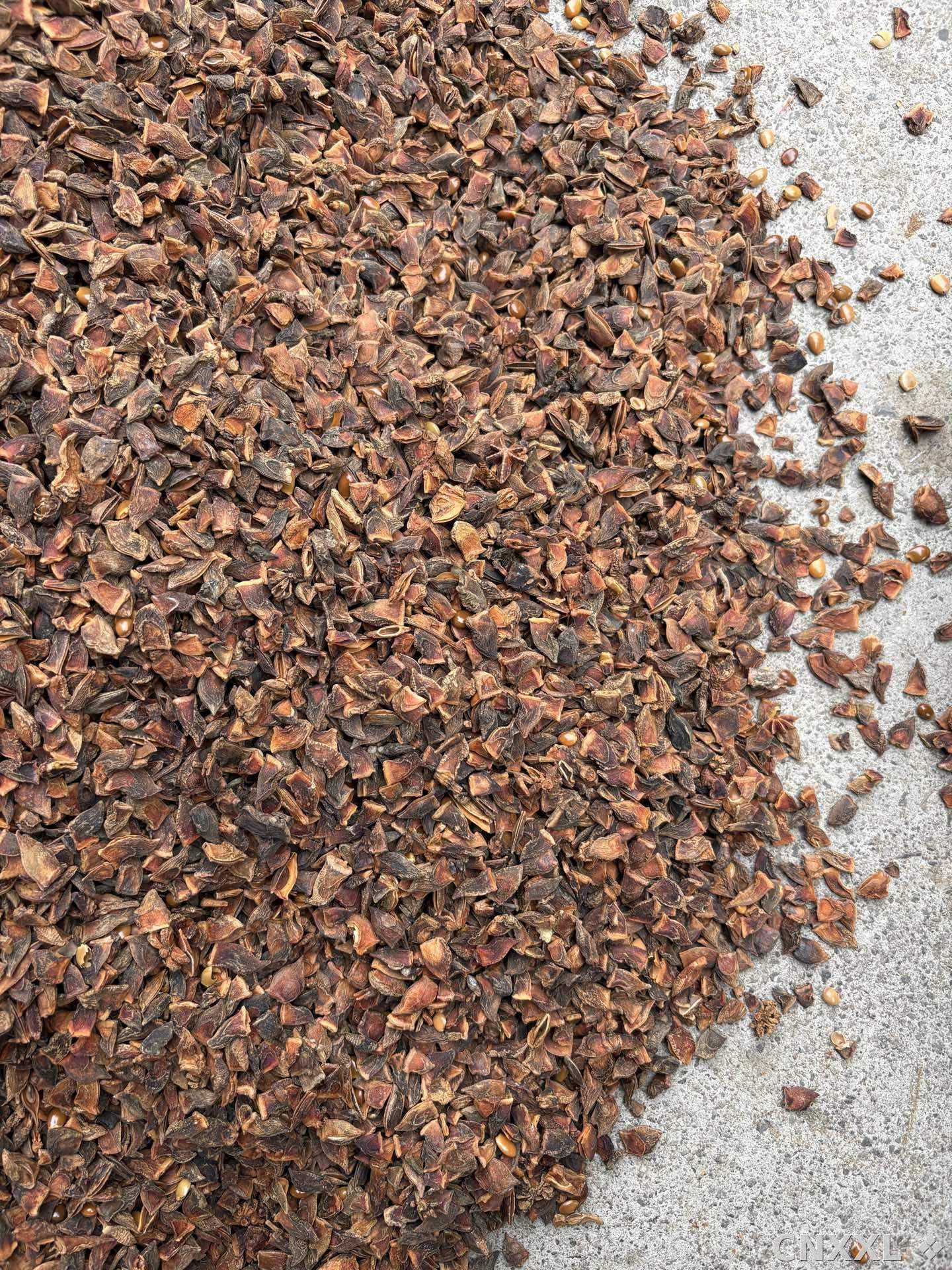 spice_26256_dbdb86b0_3.jpg