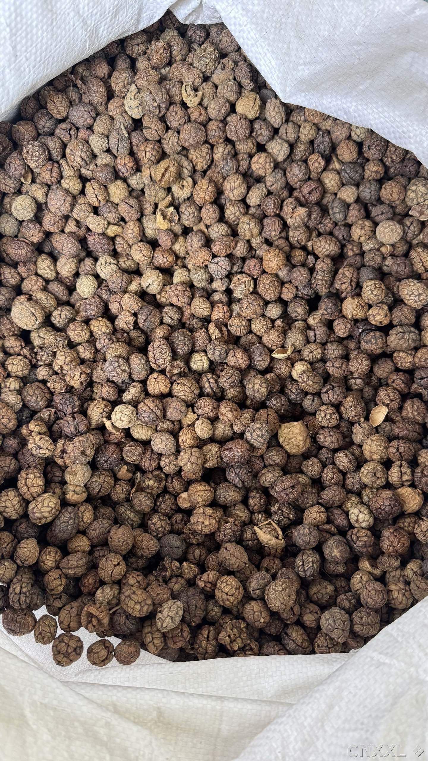 spice_26266_ba8e82cd_3.jpg