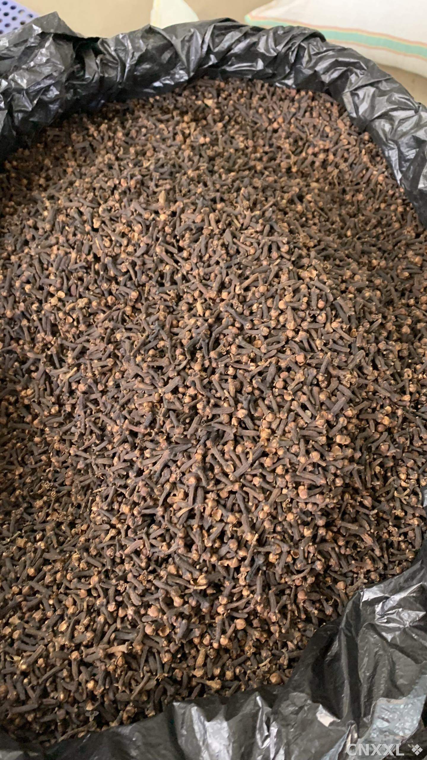 spice_26279_5708c92a_3.jpg