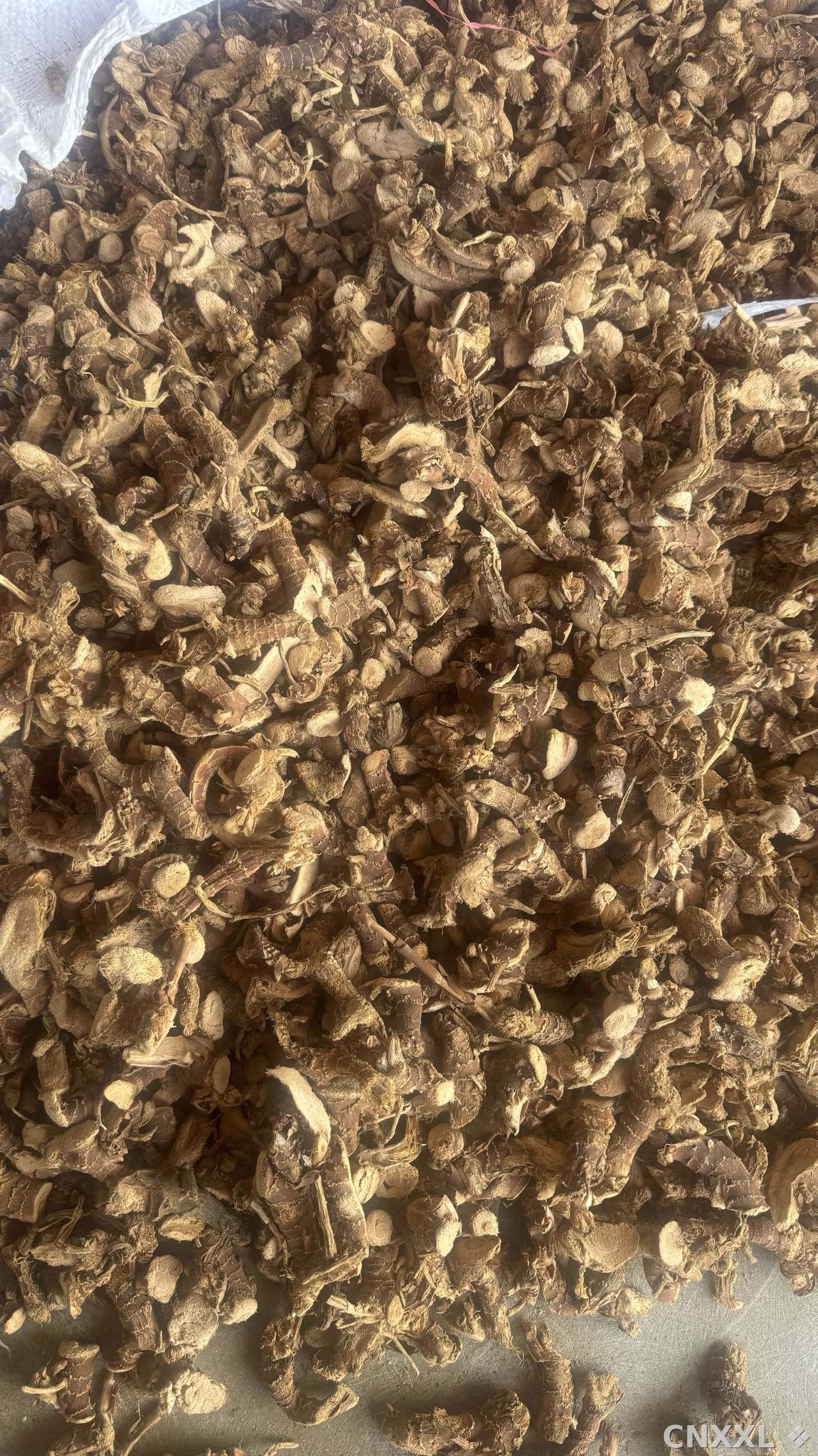spice_26280_1dec51f1_3.jpg
