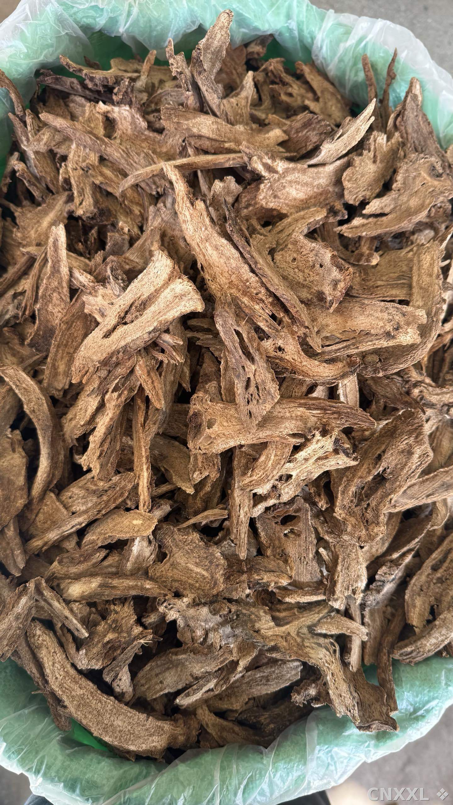 spice_26281_b504d9be_2.jpg