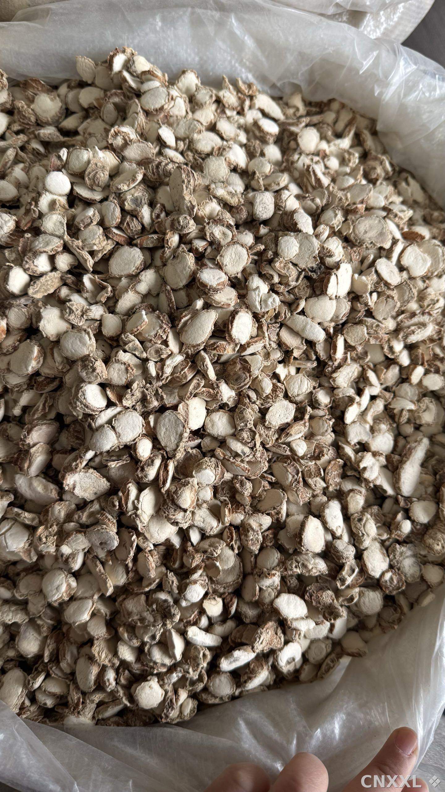 spice_26283_6c3f1489_3.jpg