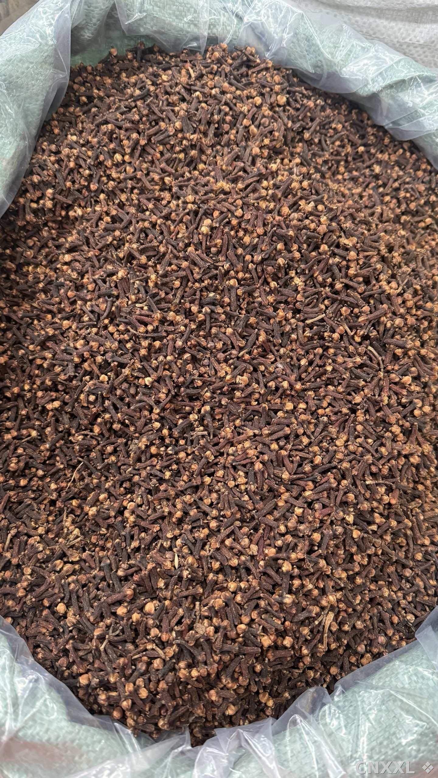 spice_26284_af987076_3.jpg