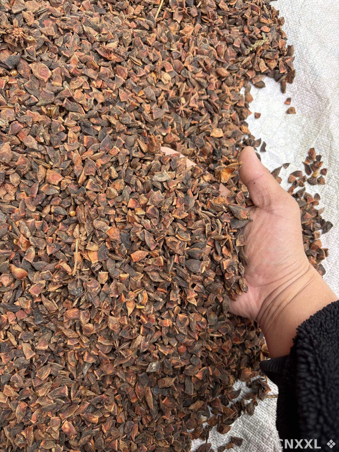 spice_26300_0a2230a7_2.jpg