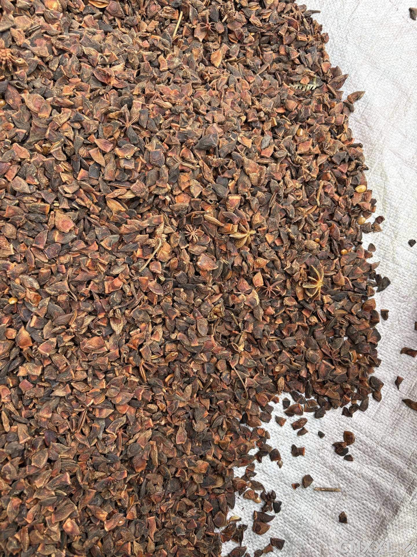 spice_26300_c18569fb_3.jpg