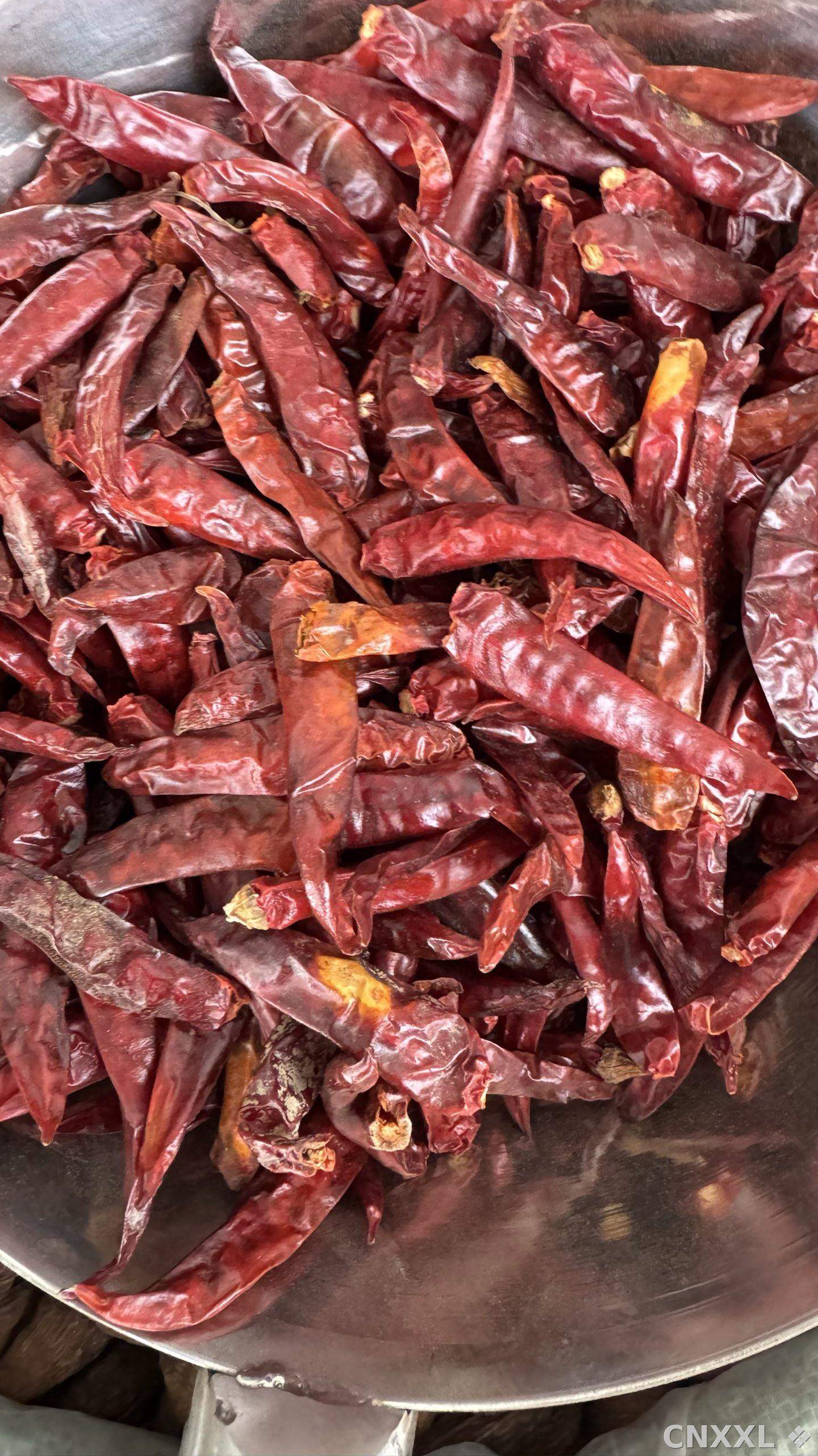 spice_26301_ddbee002_2.jpg