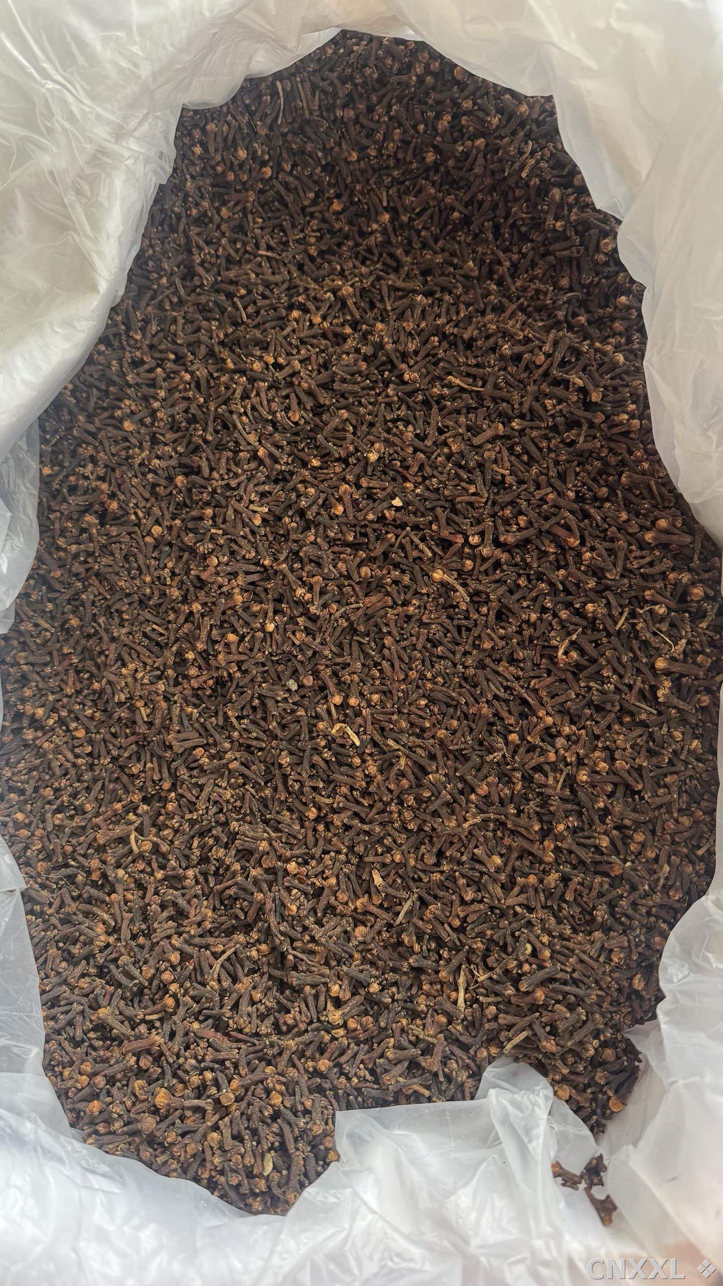 spice_26303_690efc09_3.jpg