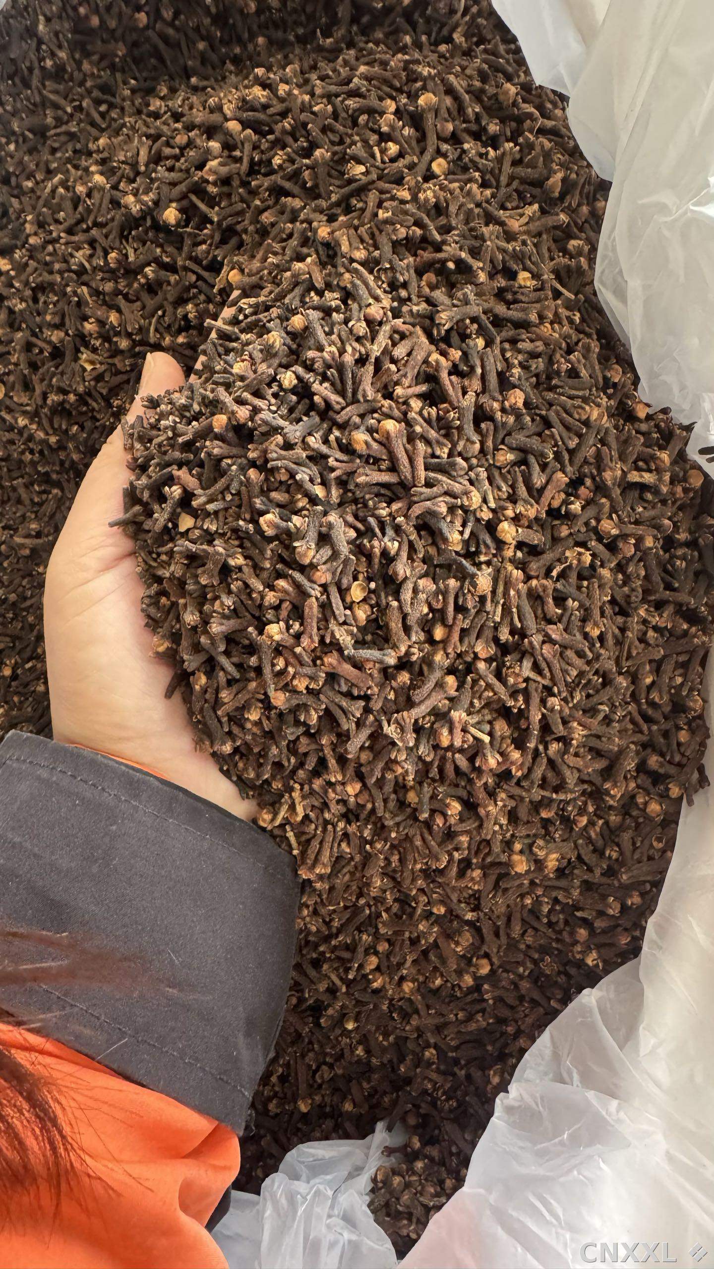 spice_26303_b84ba456_2.jpg