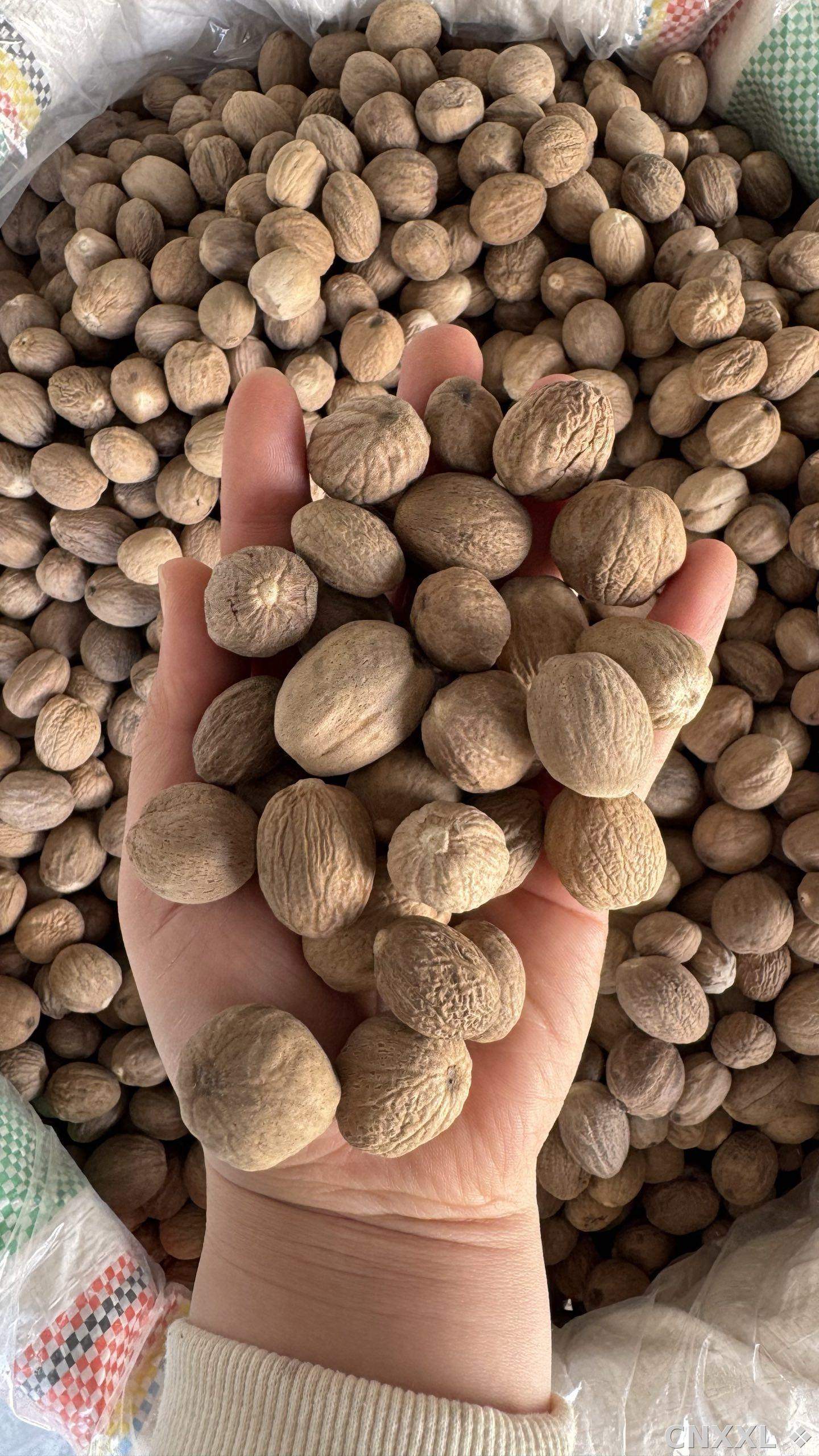 spice_26307_07f34adf_2.jpg