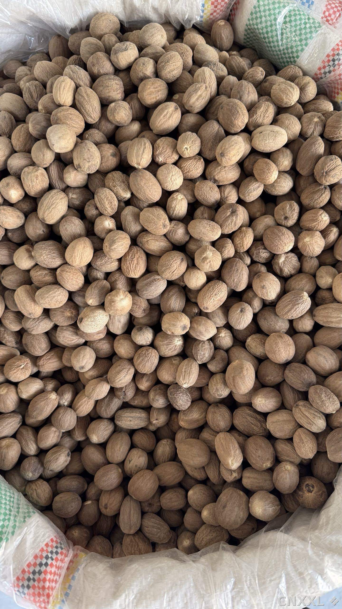 spice_26307_a1458590_3.jpg