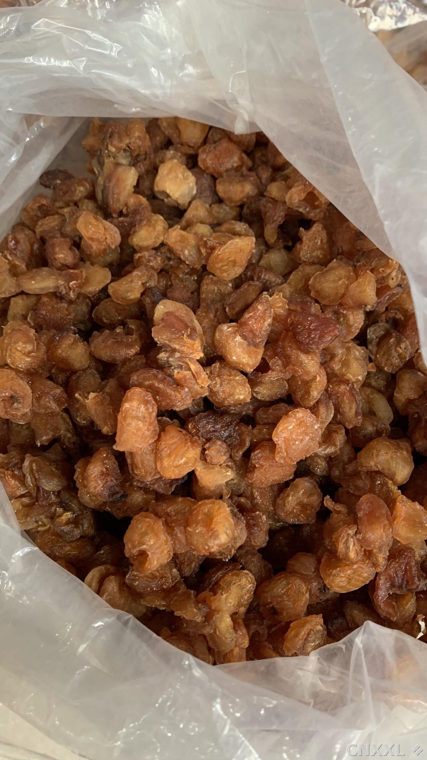 spice_26308_83a2d795_3.jpg