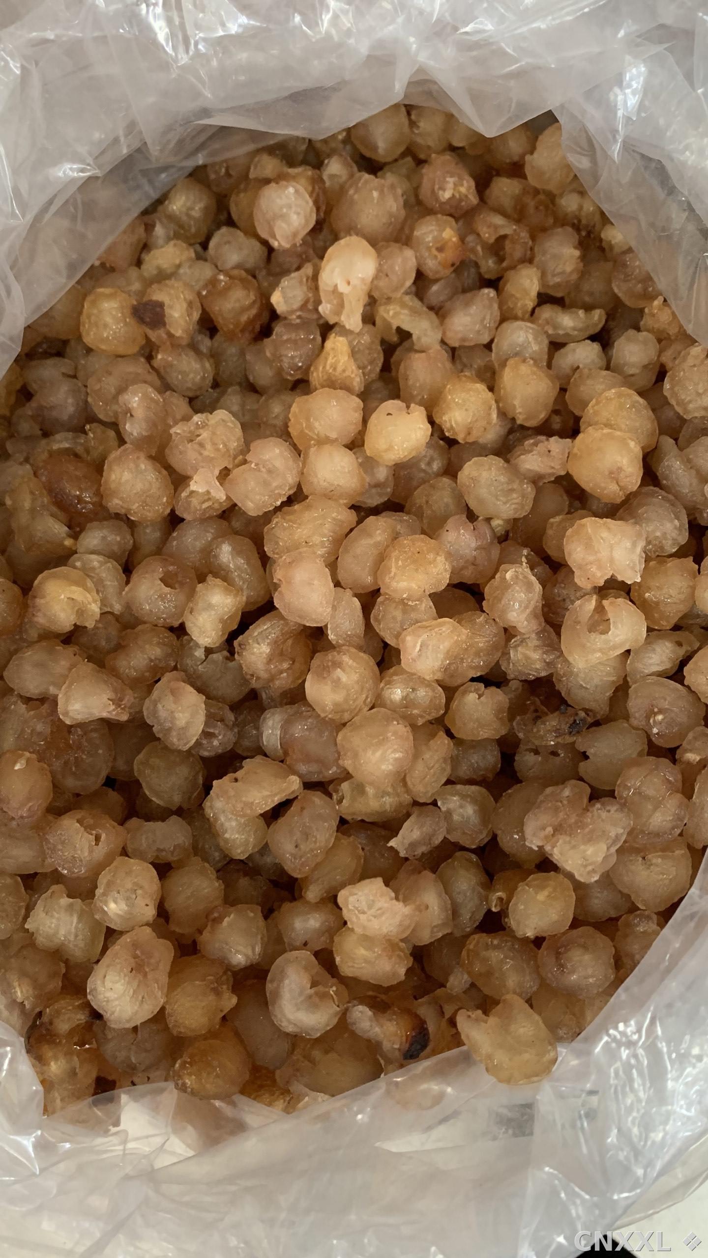 spice_26309_40856dc8_3.jpg