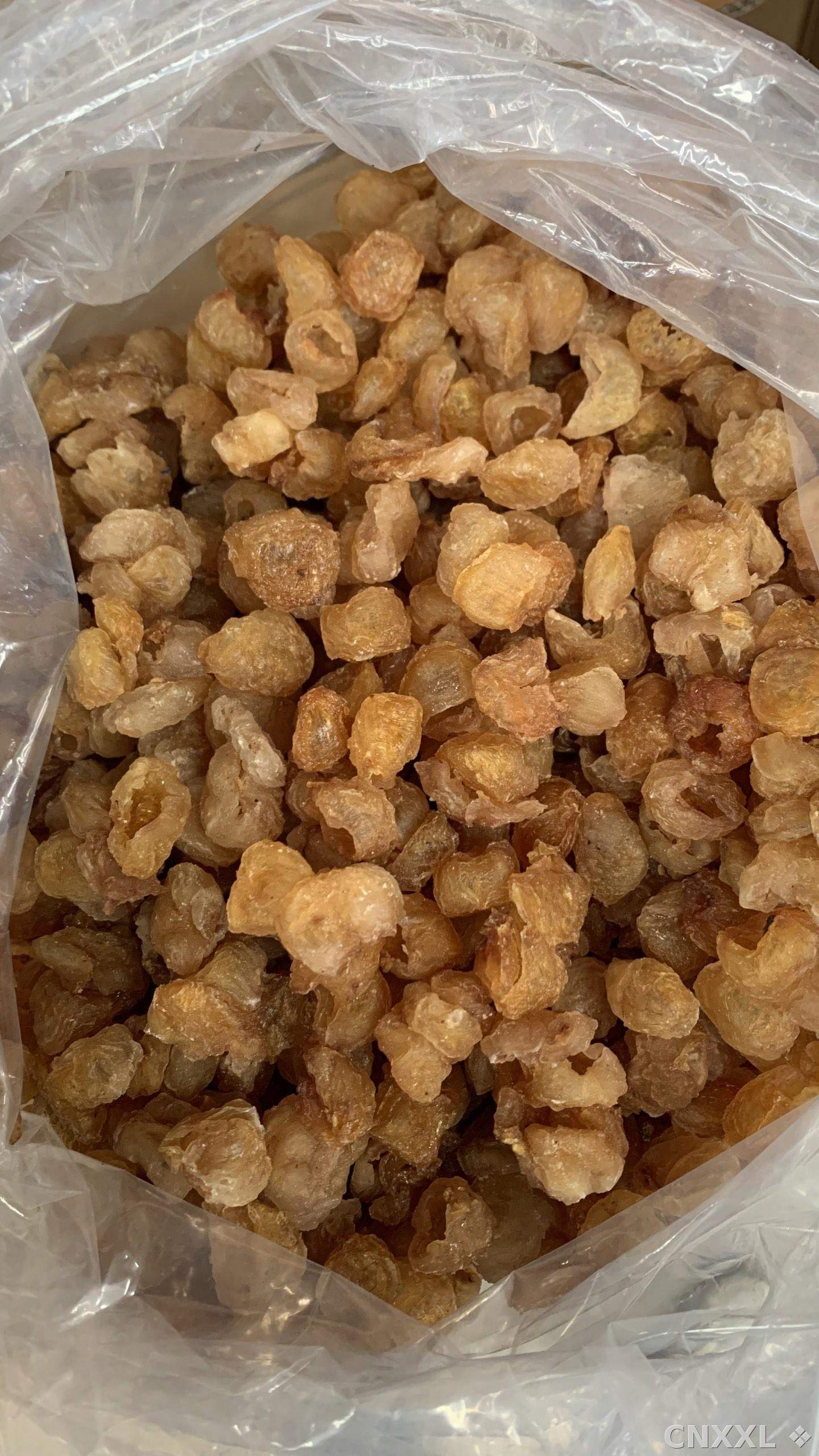 spice_26310_c9a21e82_3.jpg