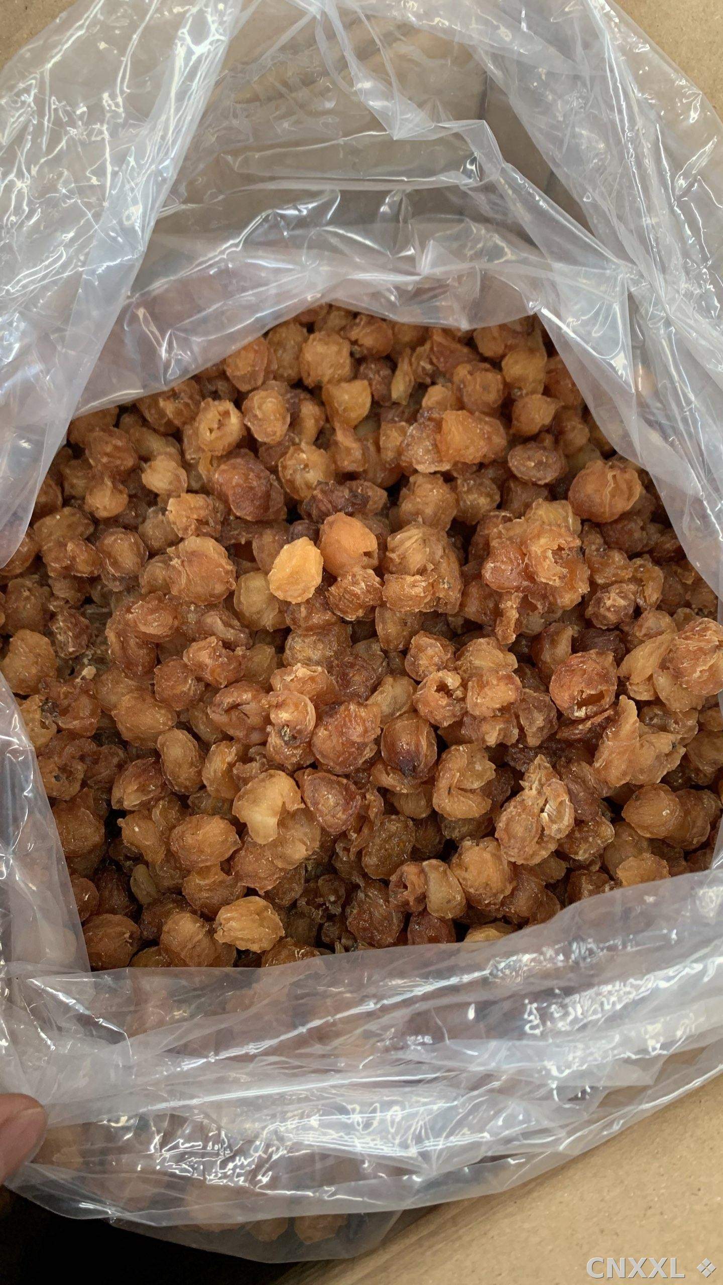 spice_26312_1ab3d057_3.jpg