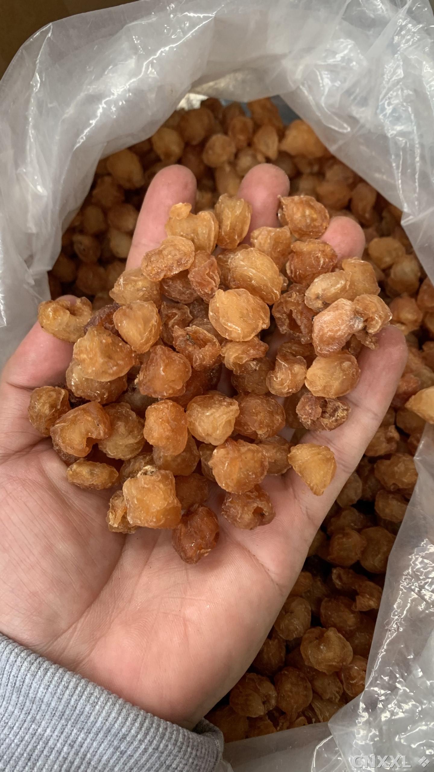 spice_26313_b6ef38ec_1.jpg