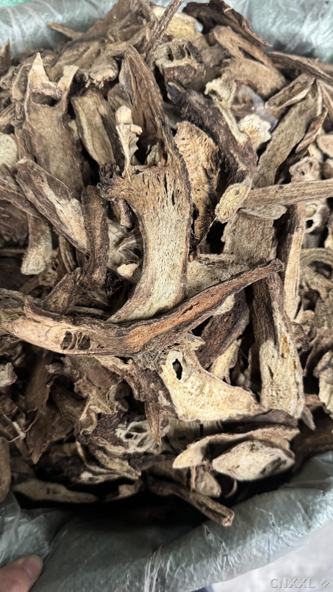 spice_26314_e89cf95a_3.jpg