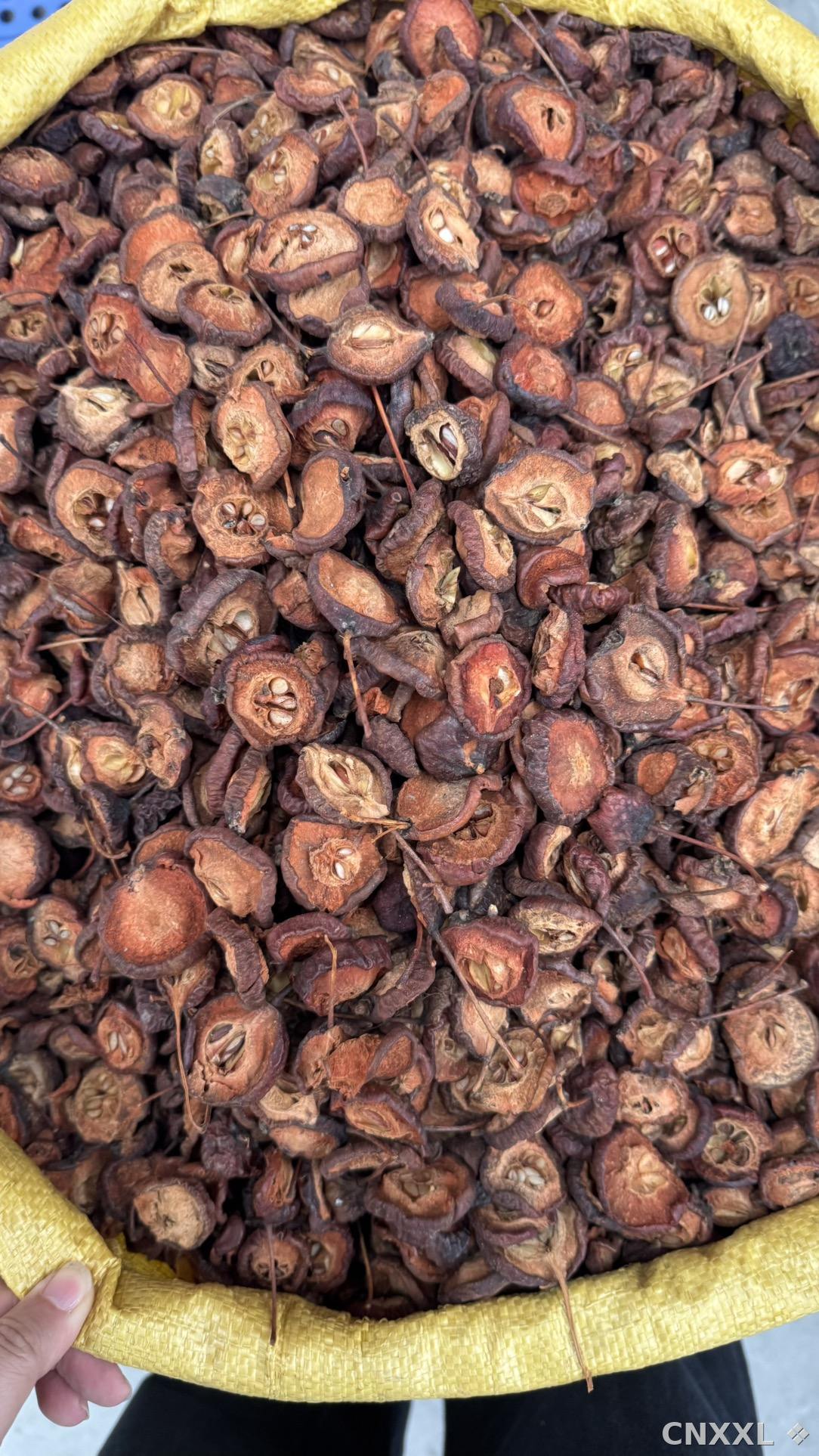 spice_26315_fc7b5ddf_3.jpg