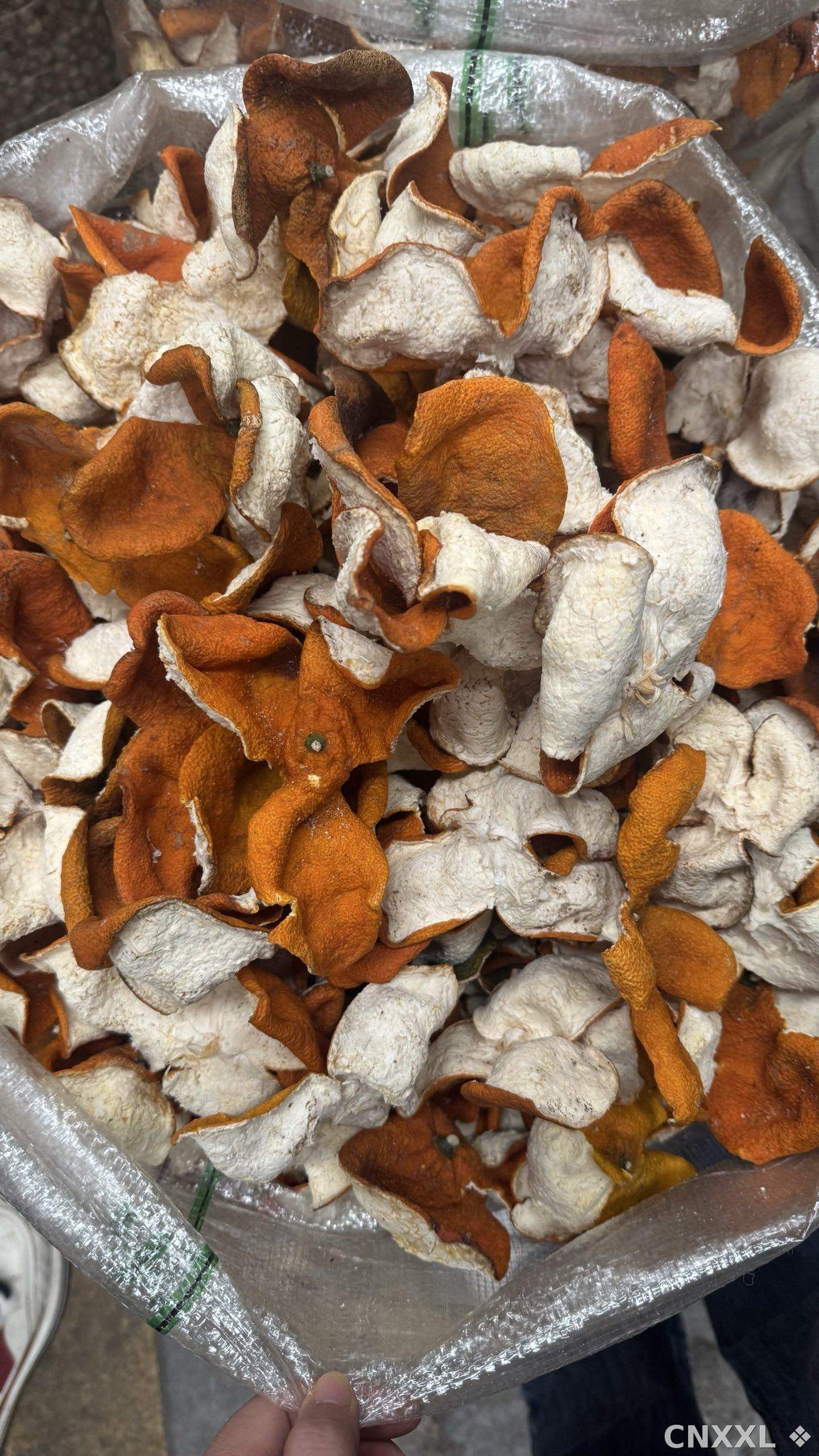 spice_26316_9f3333bb_2.jpg