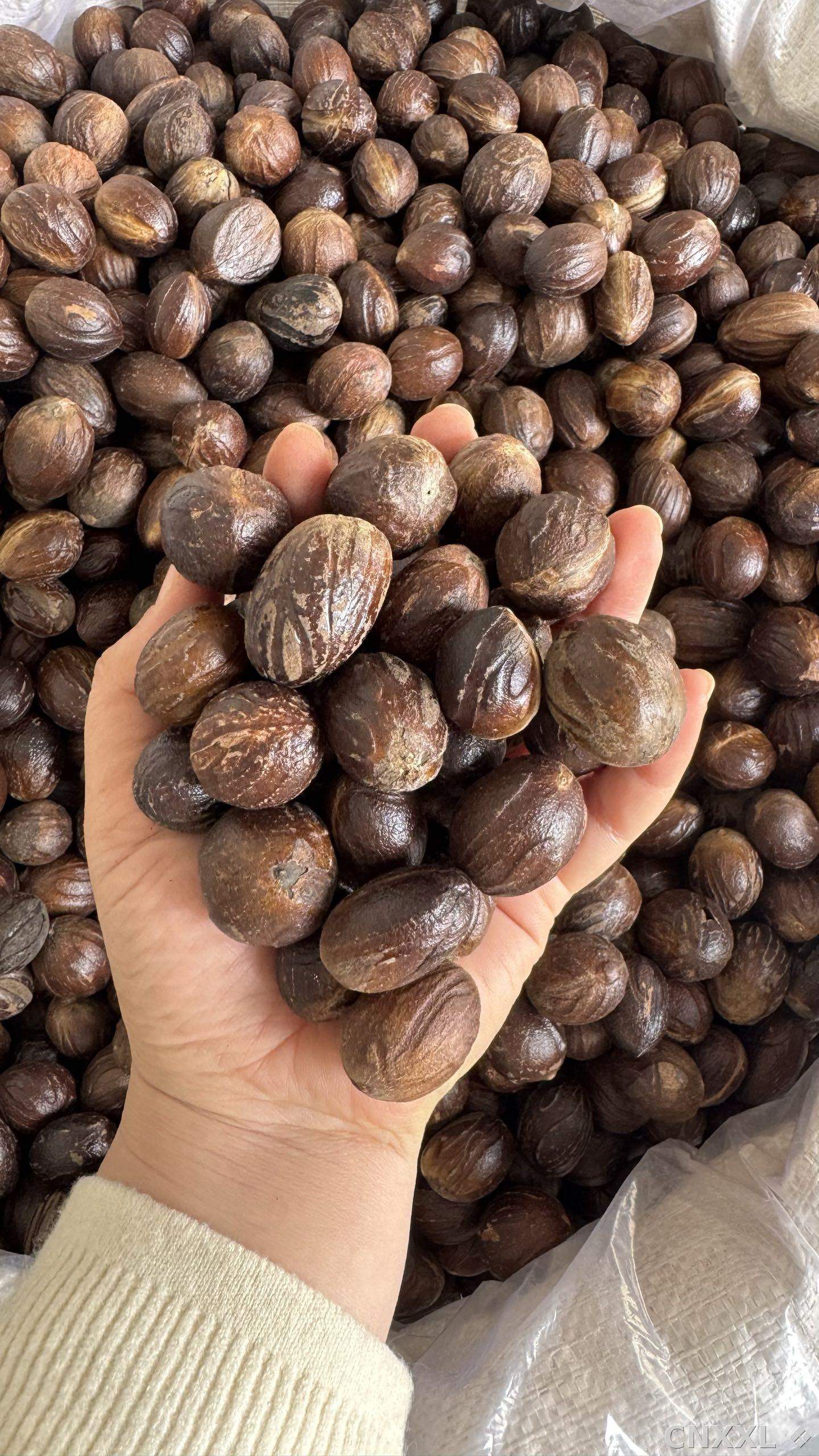 spice_26317_5eea5d52_1.jpg