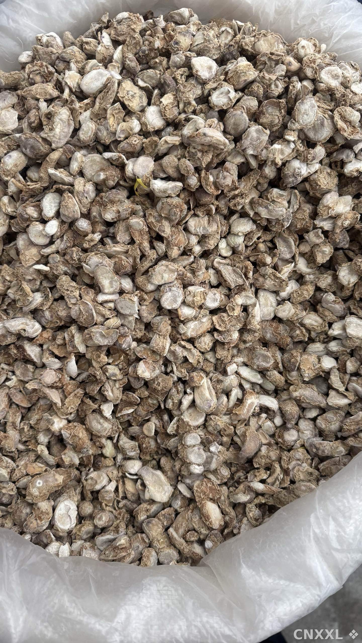 spice_26327_883fa43f_3.jpg