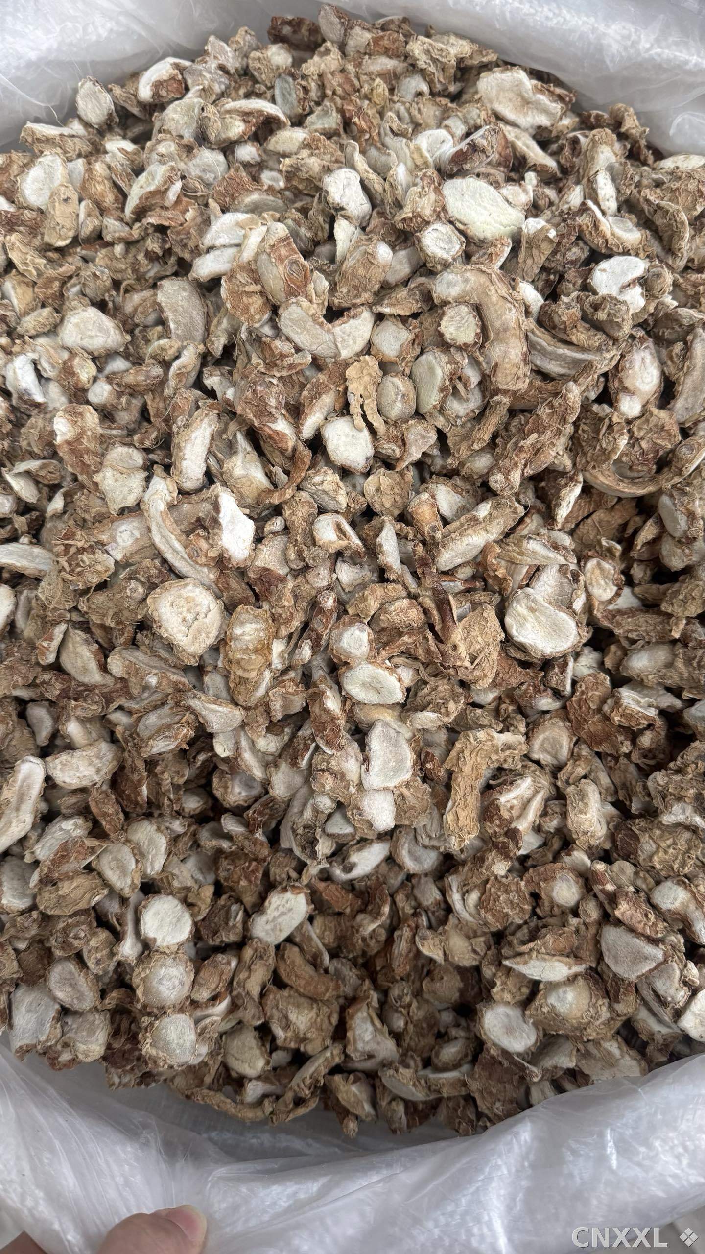 spice_26328_468c021e_2.jpg