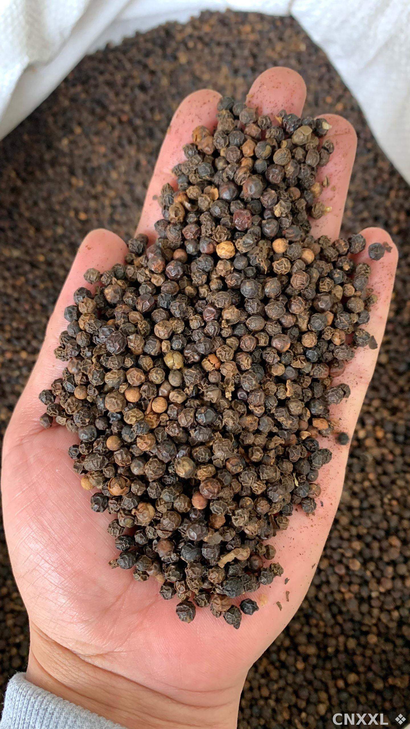 spice_26334_eb35b331_2.jpg