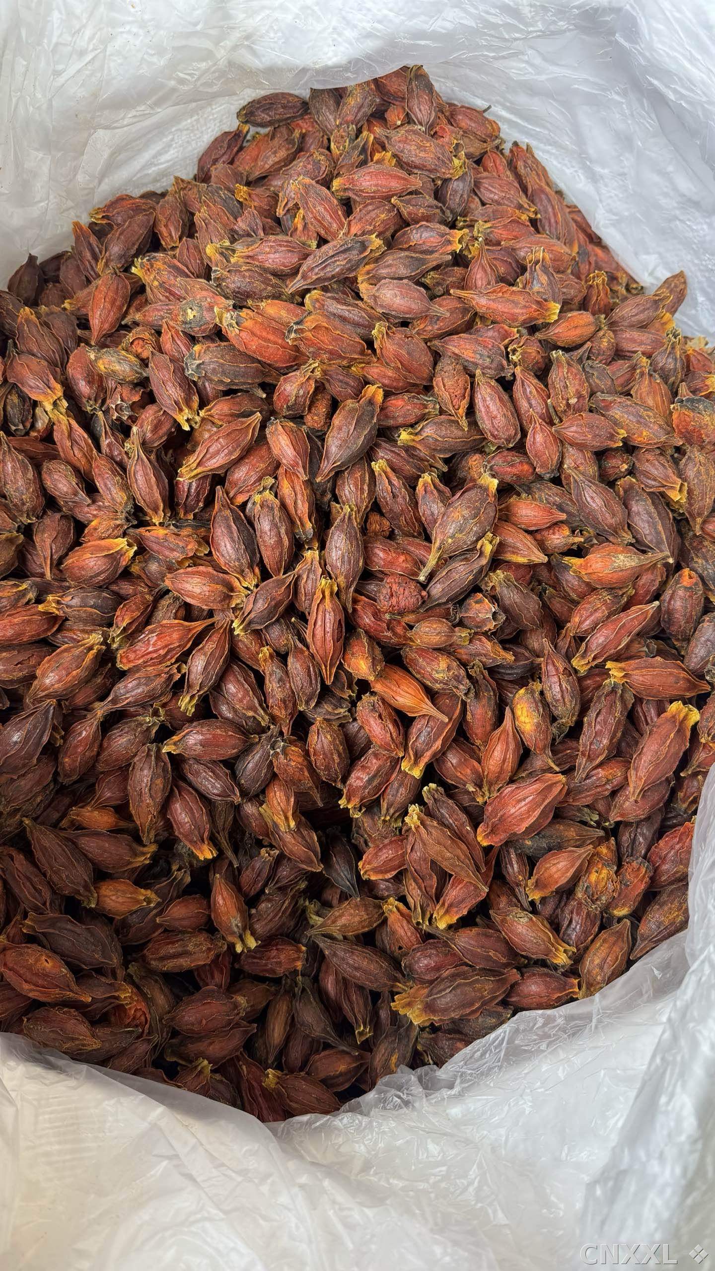 spice_26342_d3a1b2cb_3.jpg